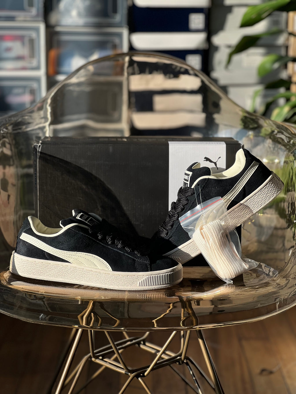 Puma suede xl x “pleasure”