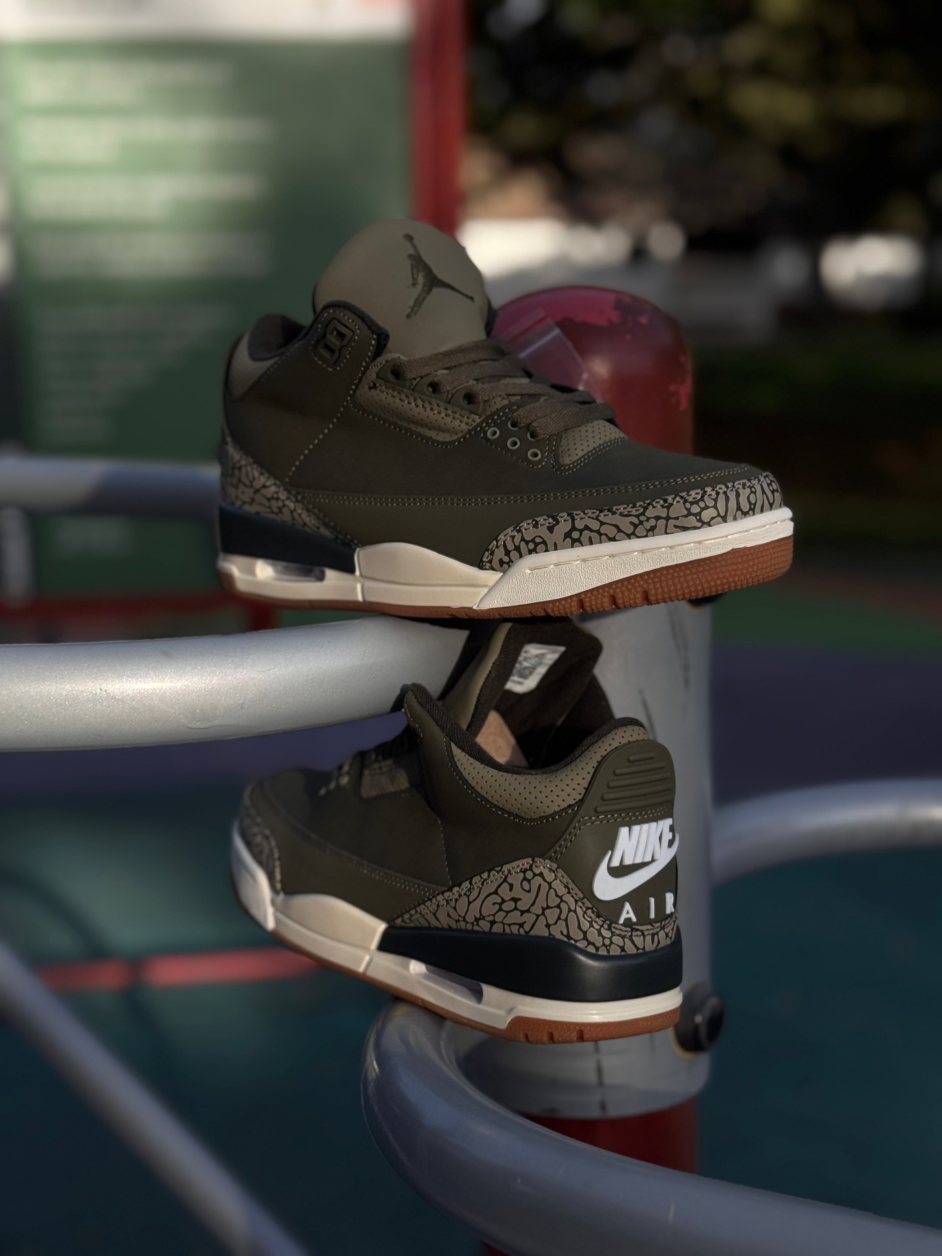 Nike Air Jordan 3 “family affair “