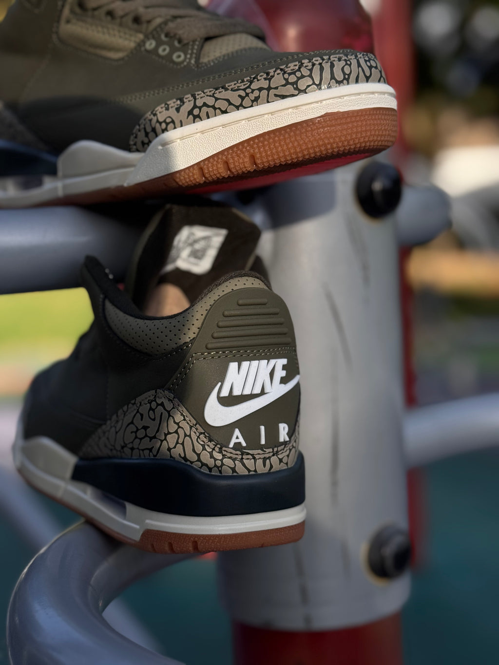 Nike Air Jordan 3 “family affair “