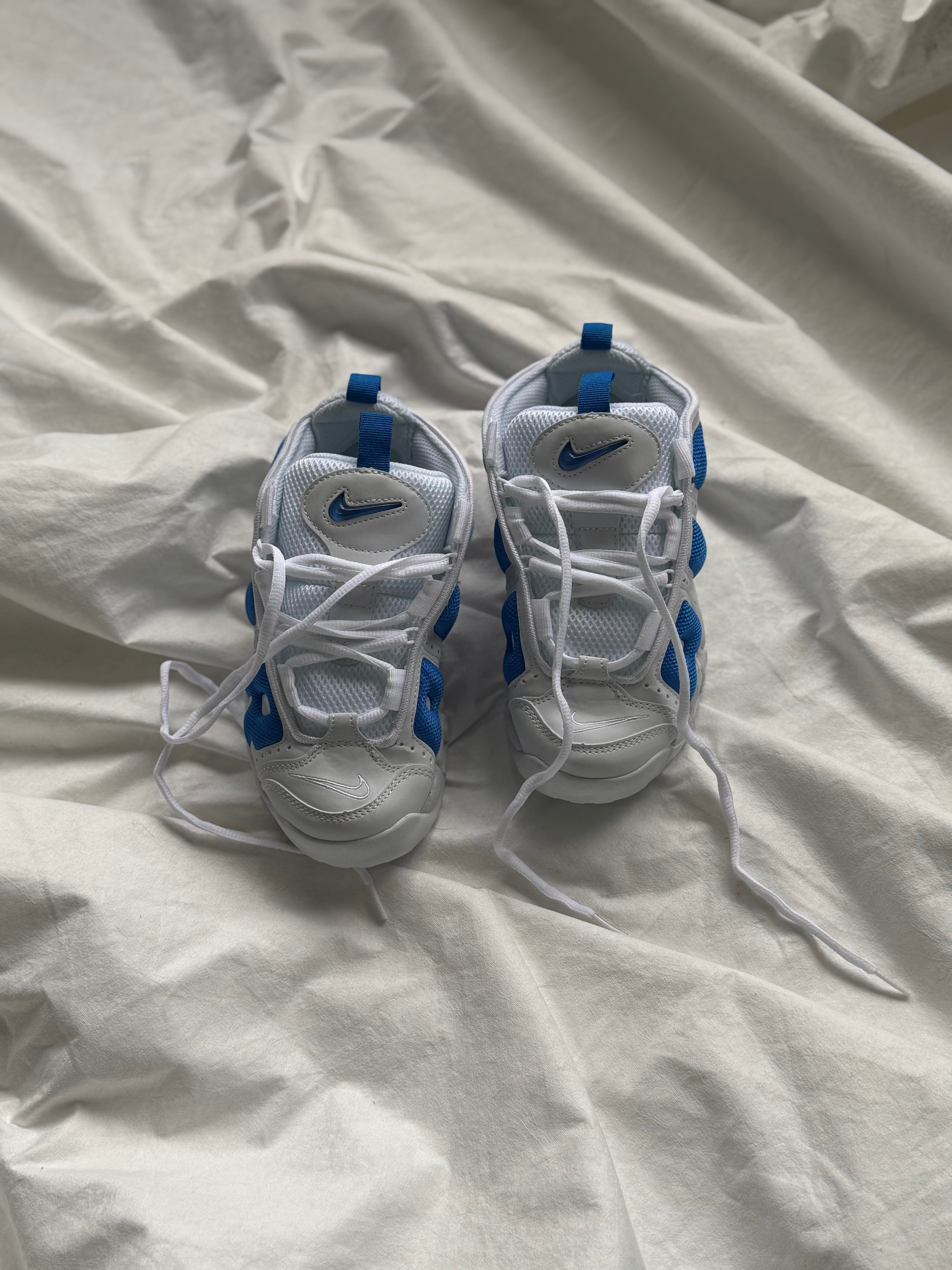 Osiris blanca azul