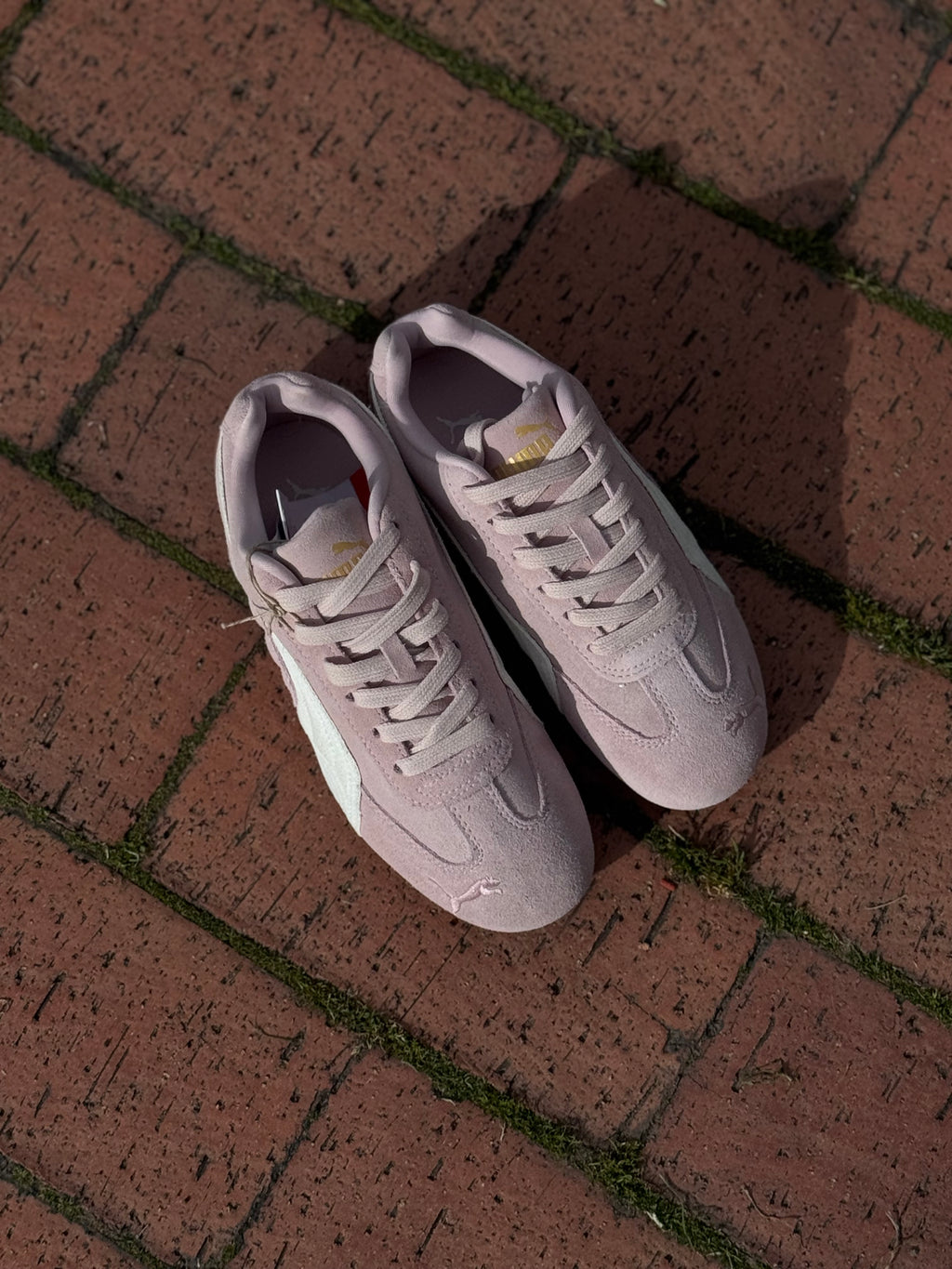 Puma speedcat “Rosa suela goma”