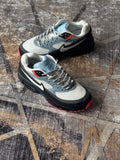 Nike Air Max bw