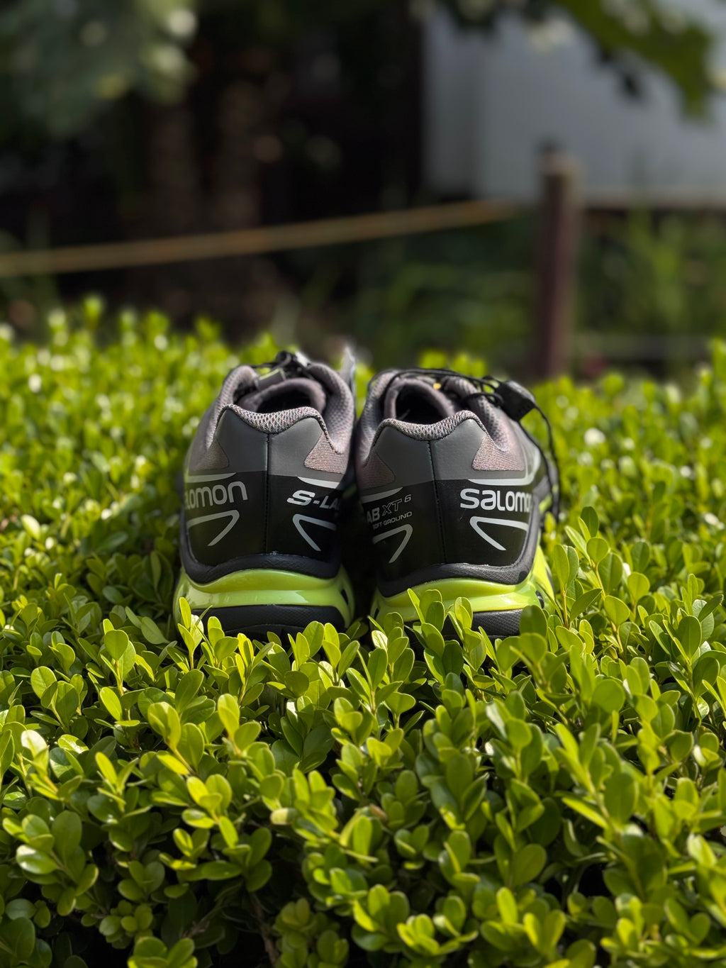 Salomon - XT-6 Black / Magnet / Evening Primrose Low