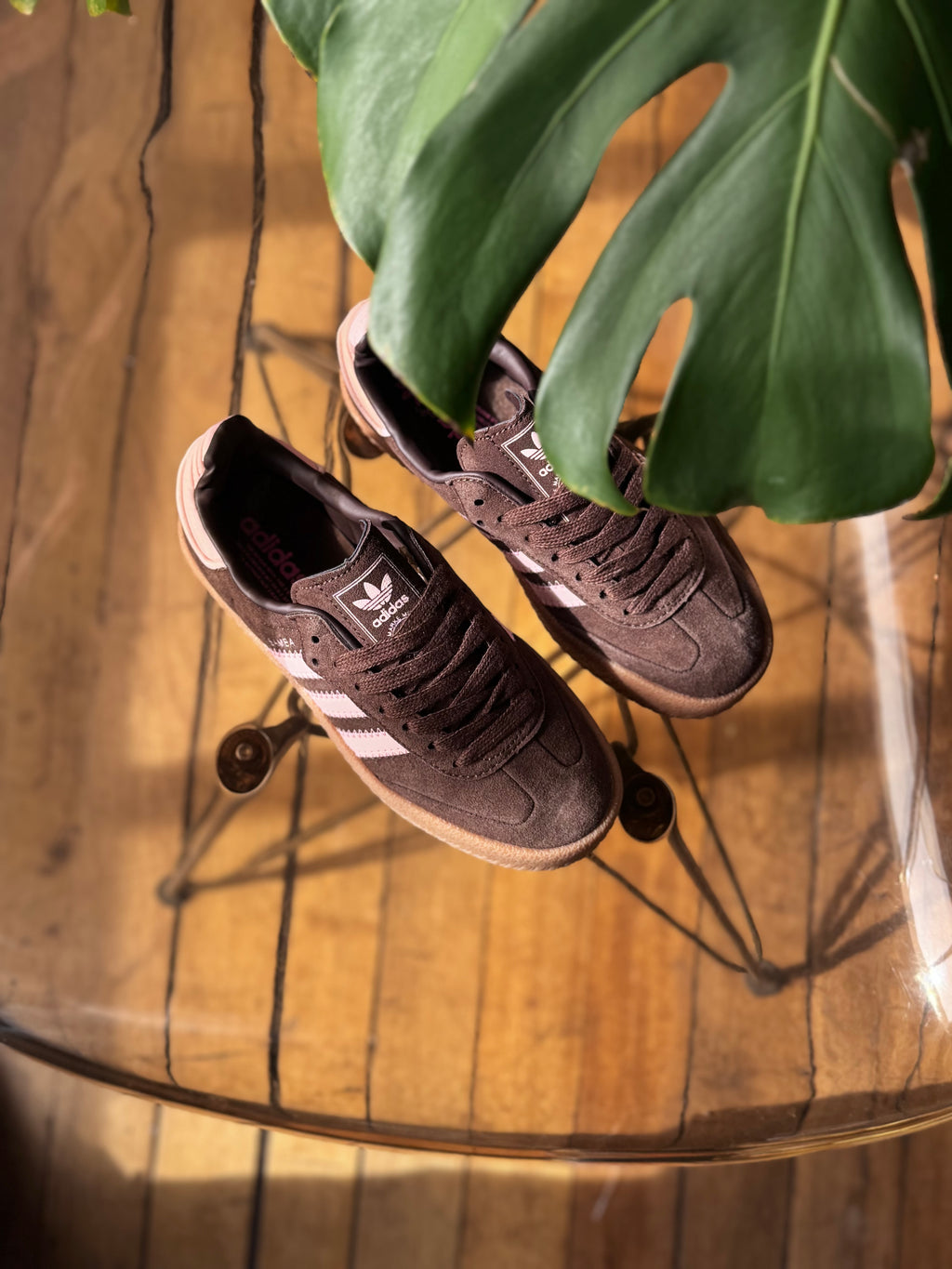 Adidas sambae “dark coffe malva”