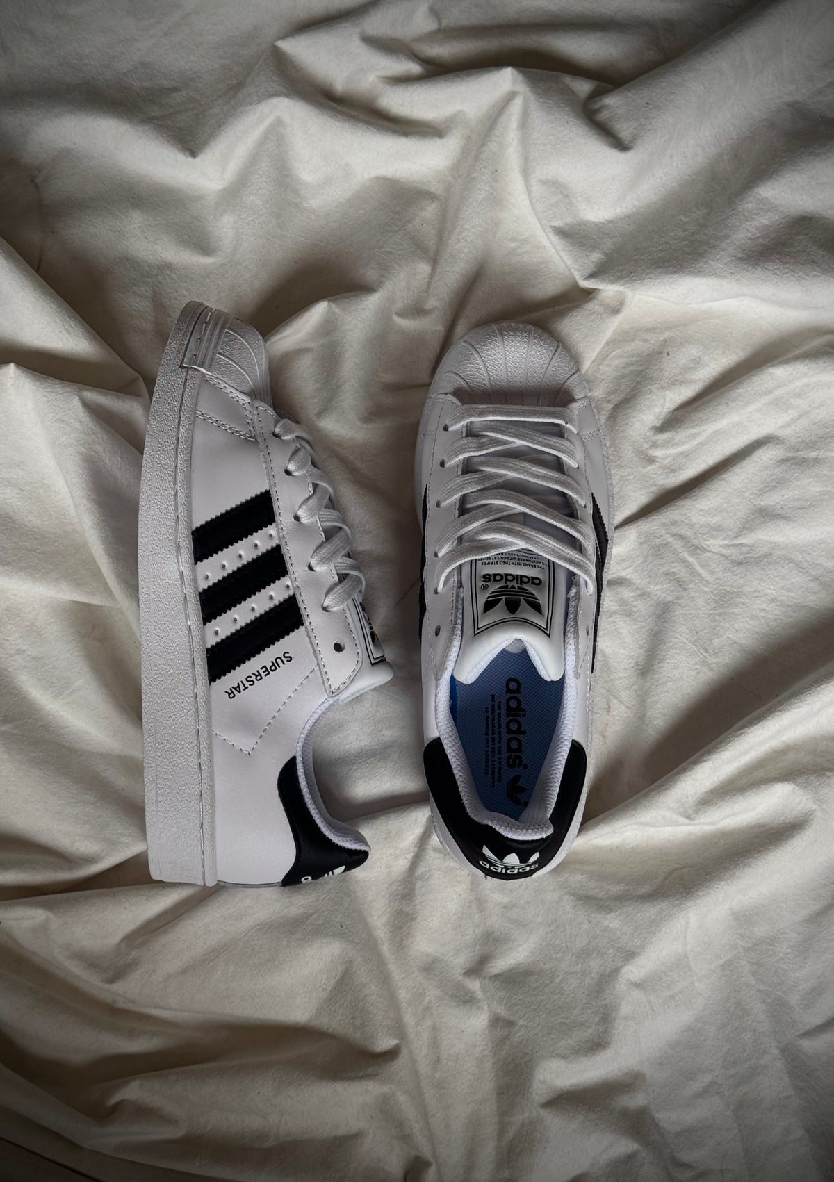 Adidas súperstar