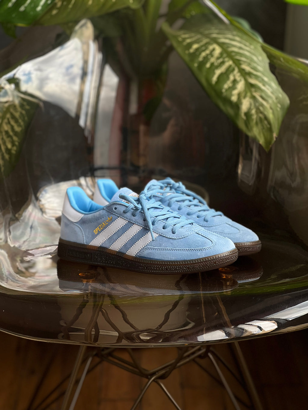 Adidas spezial “azul”