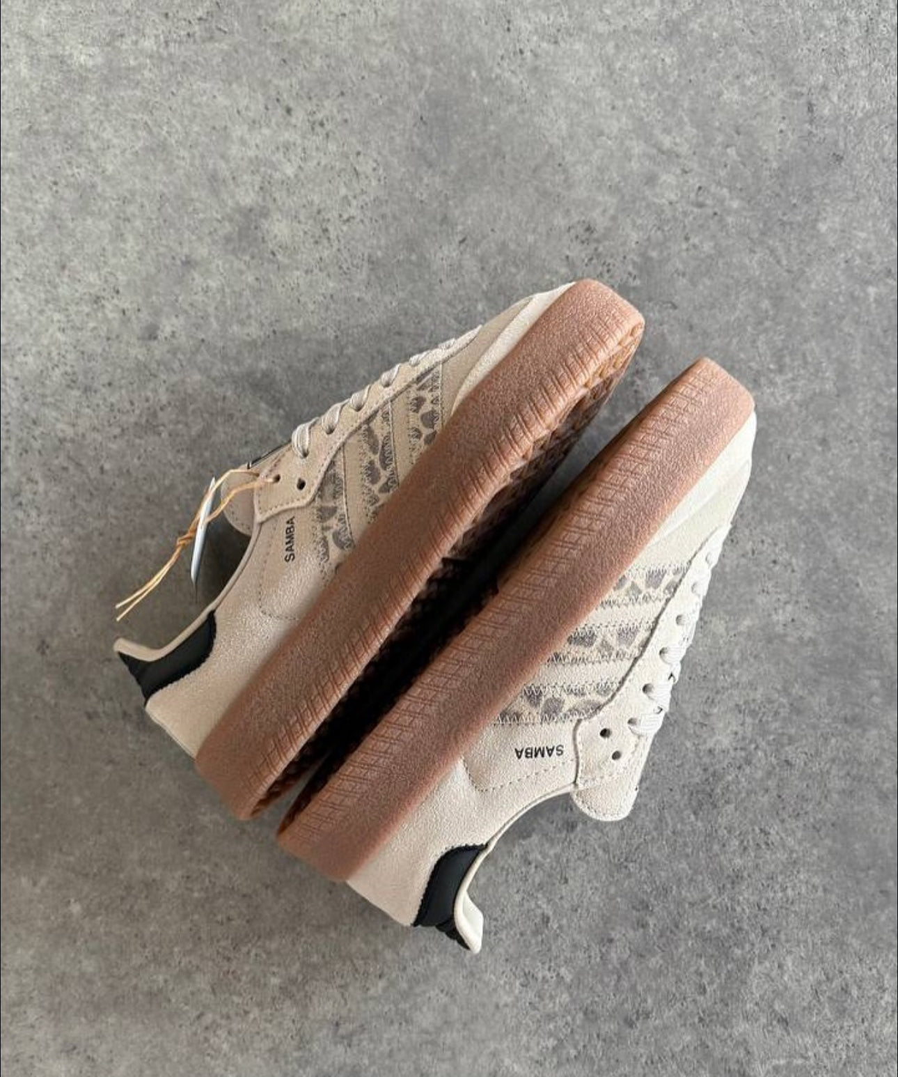 Adidas sambae leopard print