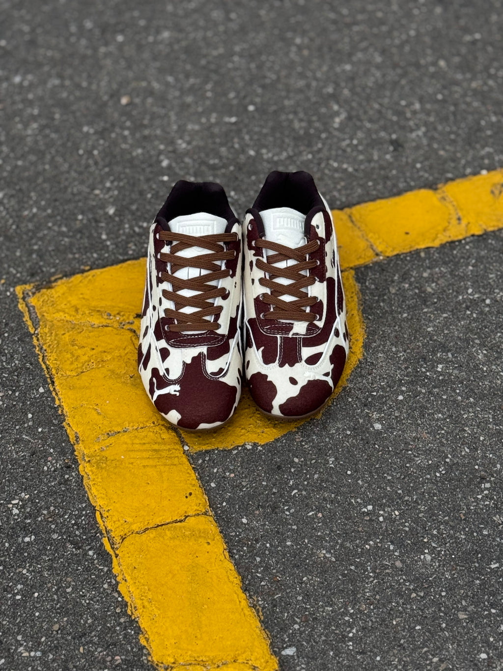 Puma speedcat “cow”