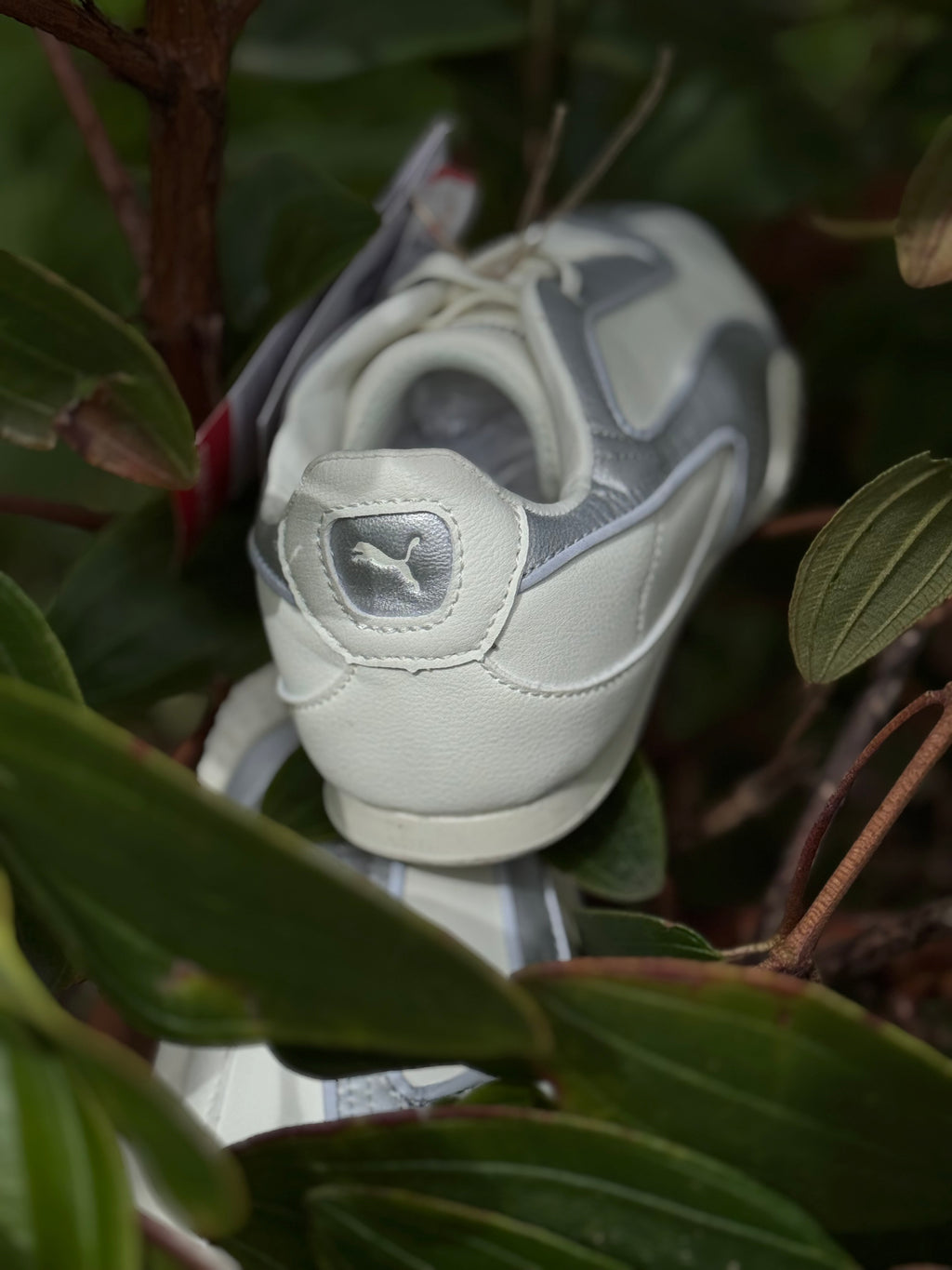 PUMA Bella V2 Leather
Warm White Silver