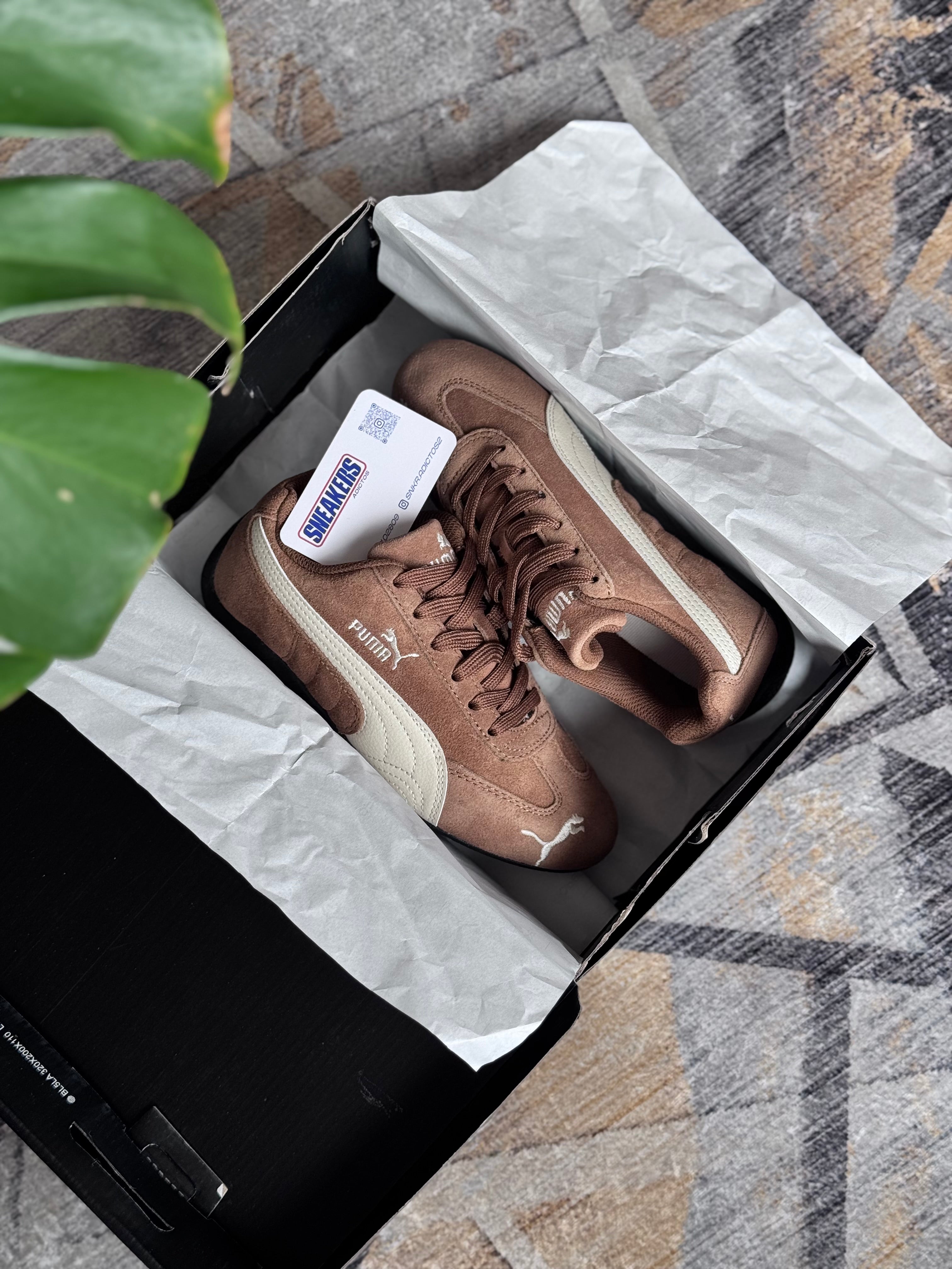 Puma speedcat “café”