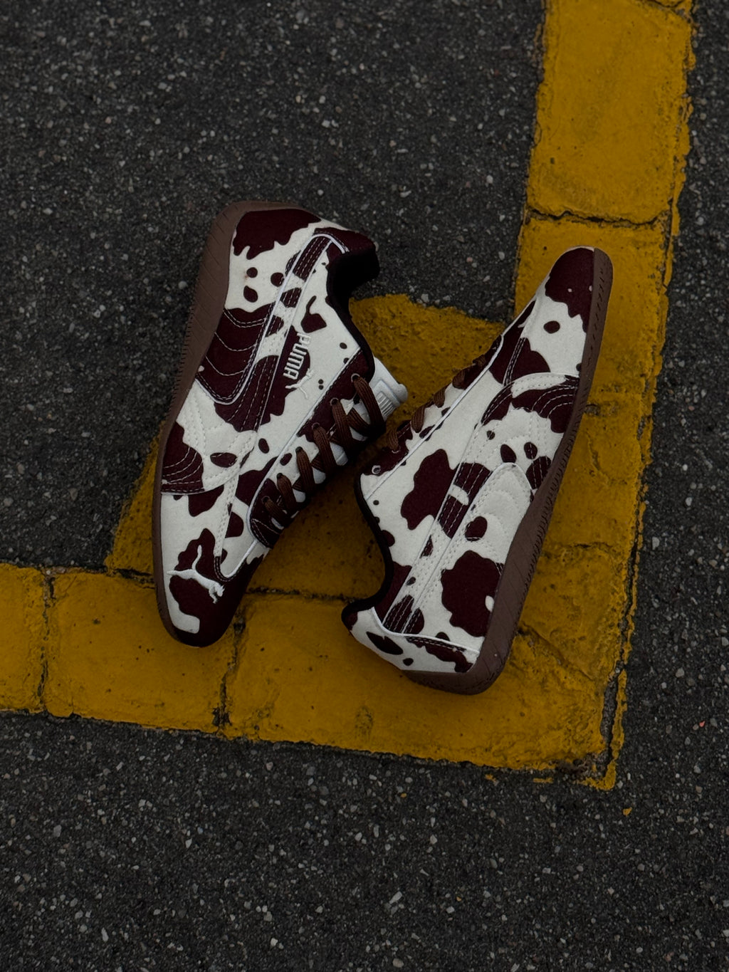 Puma speedcat “cow”