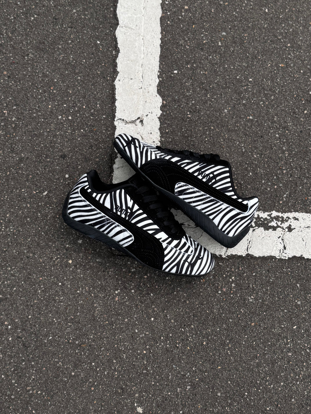 Puma speedcat “zebra”
