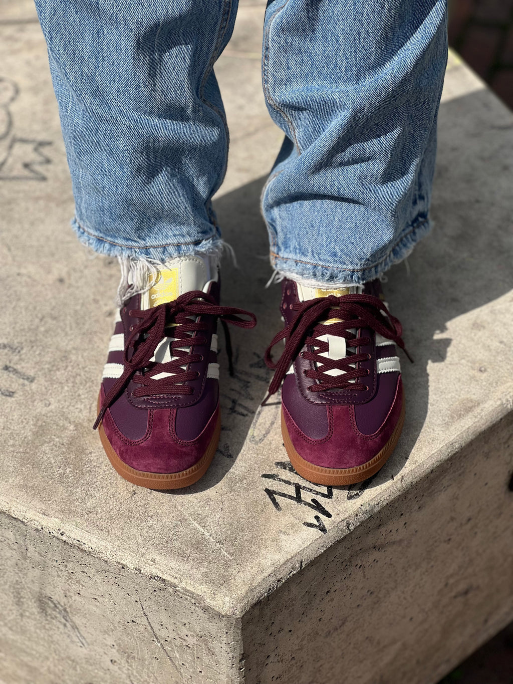 Samba og burgundy 
adidas