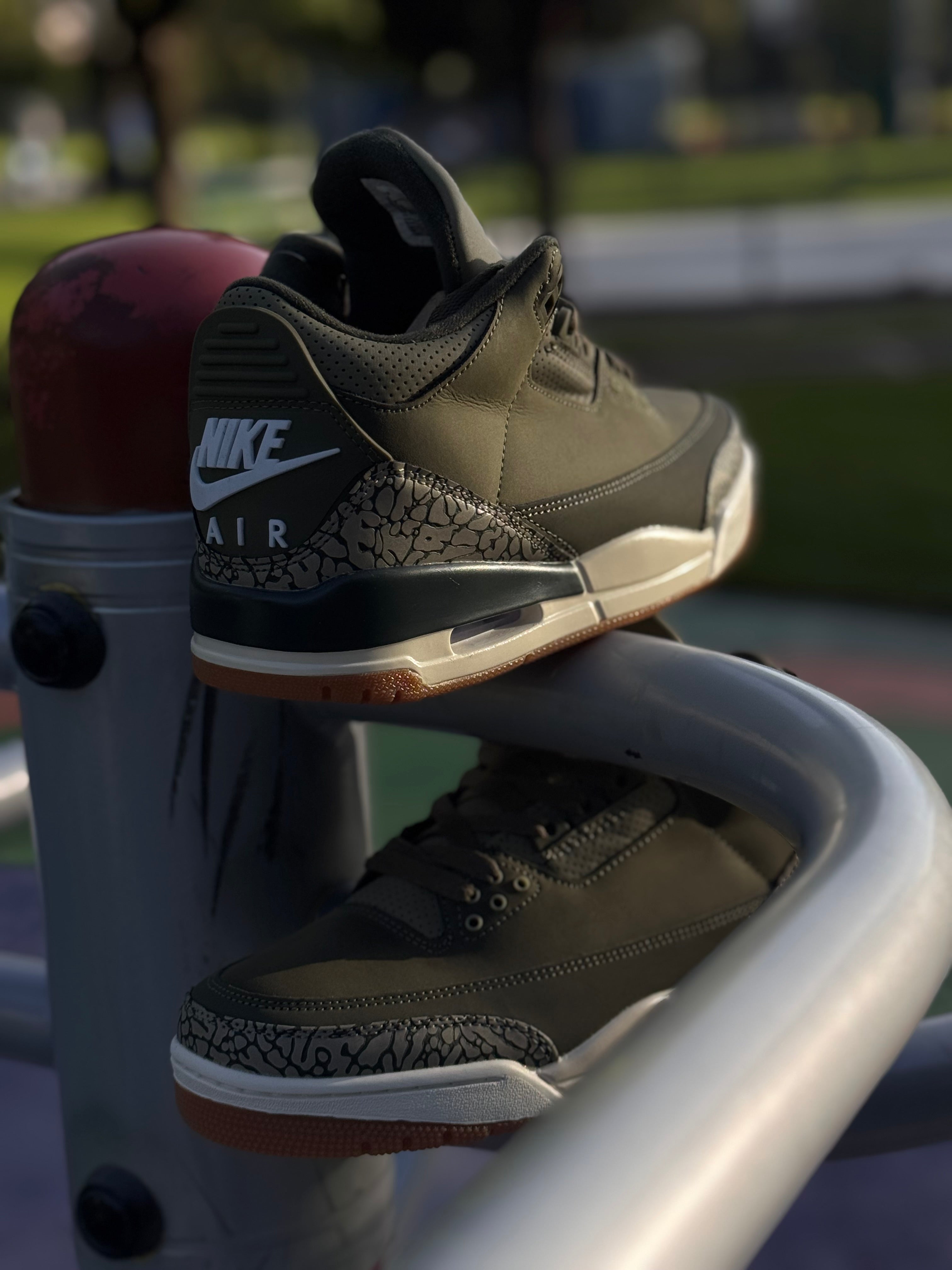 Nike Air Jordan 3 “family affair “