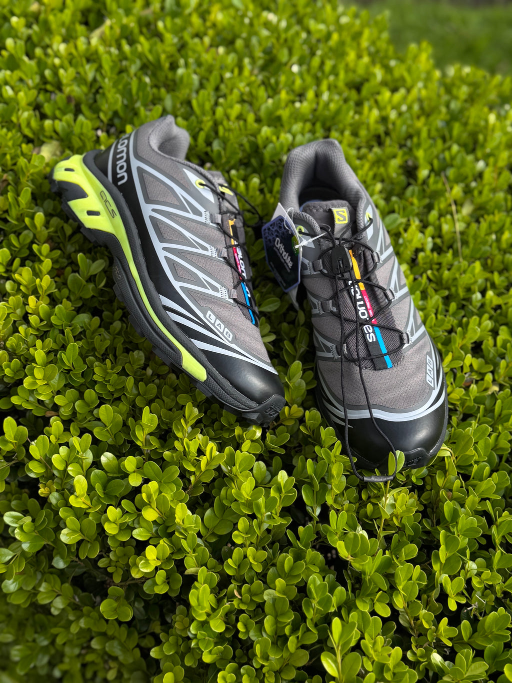 Salomon - XT-6 Black / Magnet / Evening Primrose Low