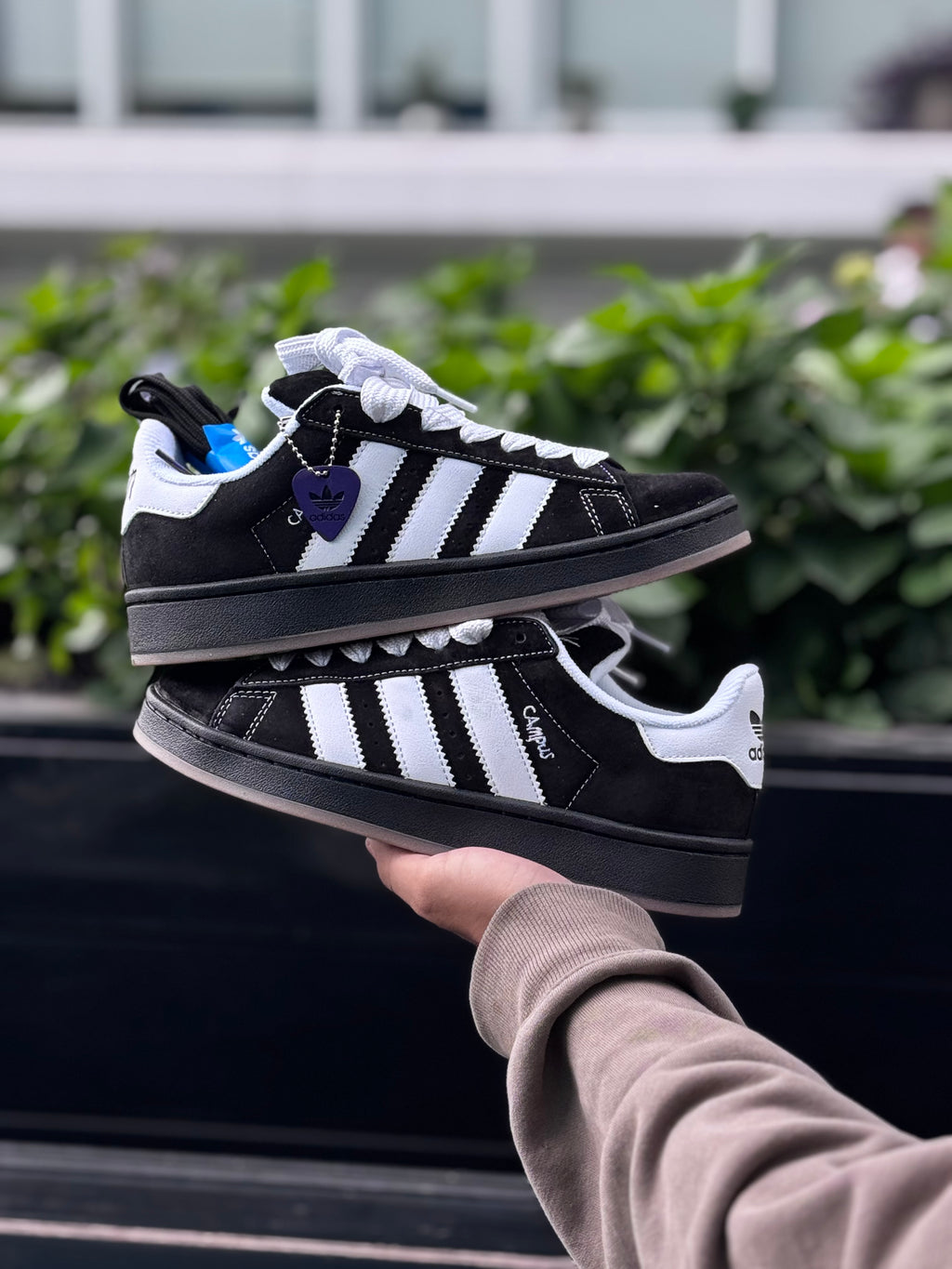 Adidas campus x “korn”