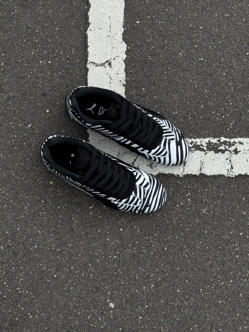 Puma speedcat “zebra”