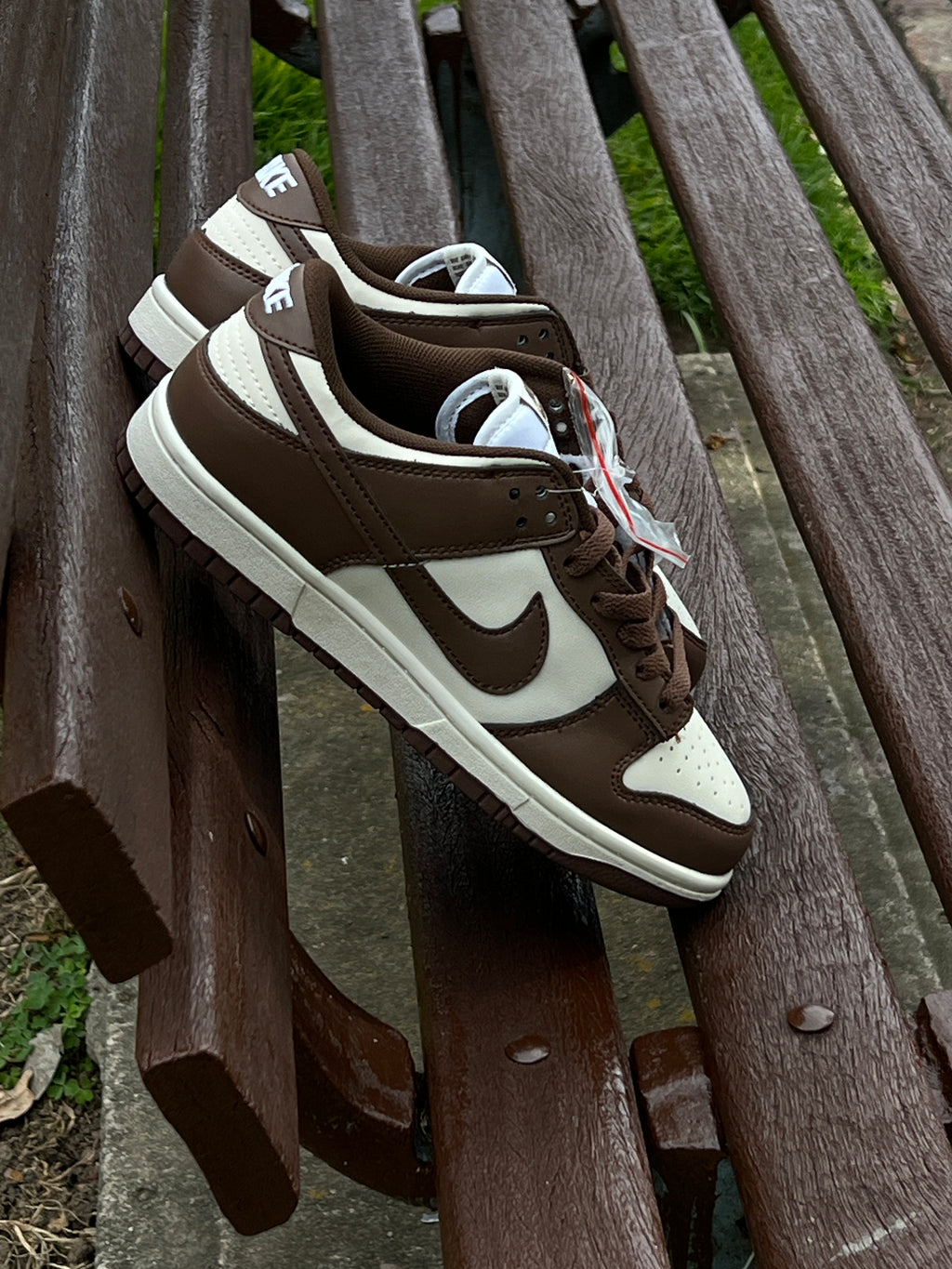 Nike sb cacao
