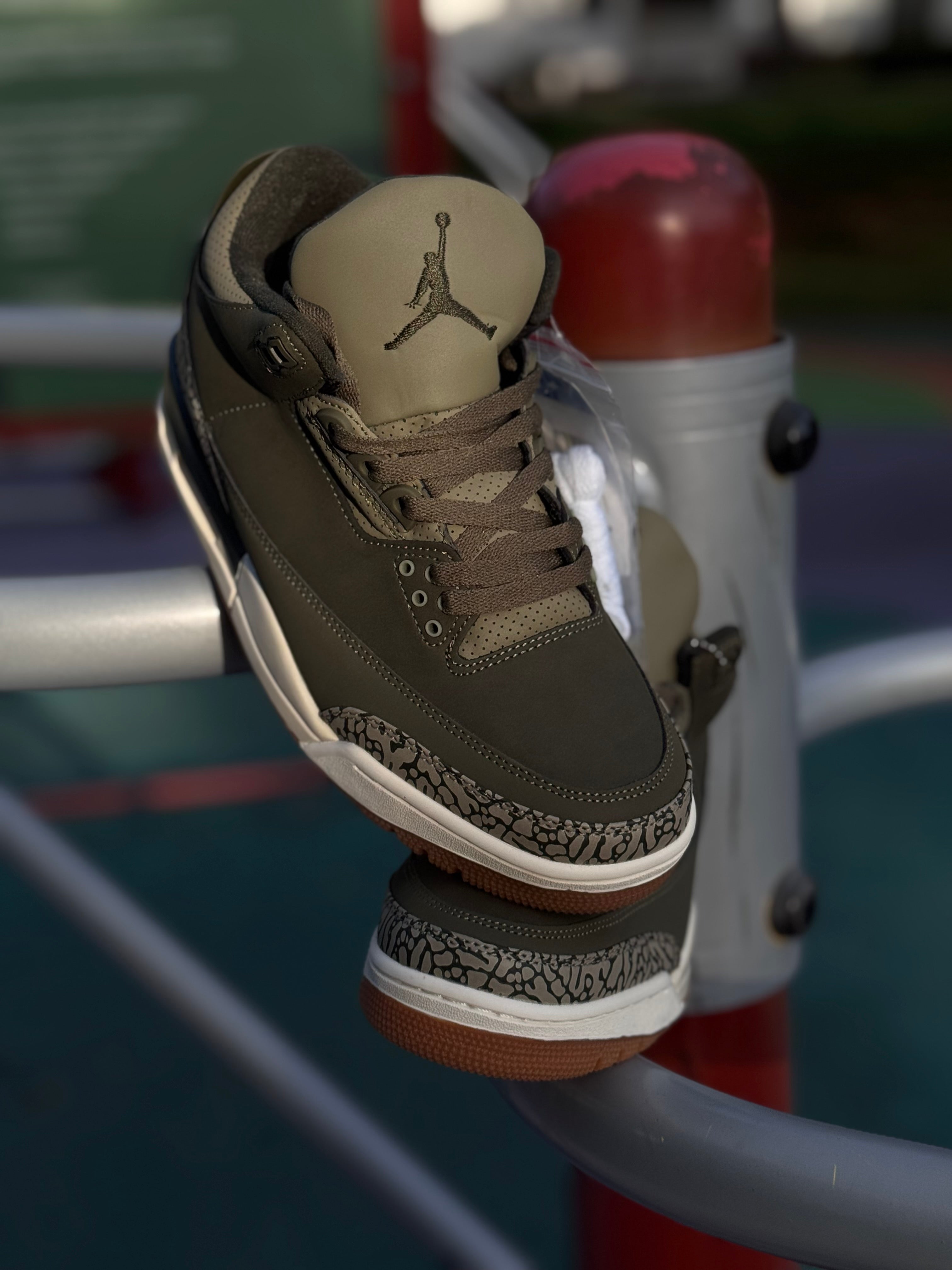 Nike Air Jordan 3 “family affair “