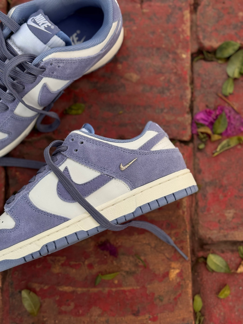 Nike Dunk Low
World Indigo Mini Swoosh