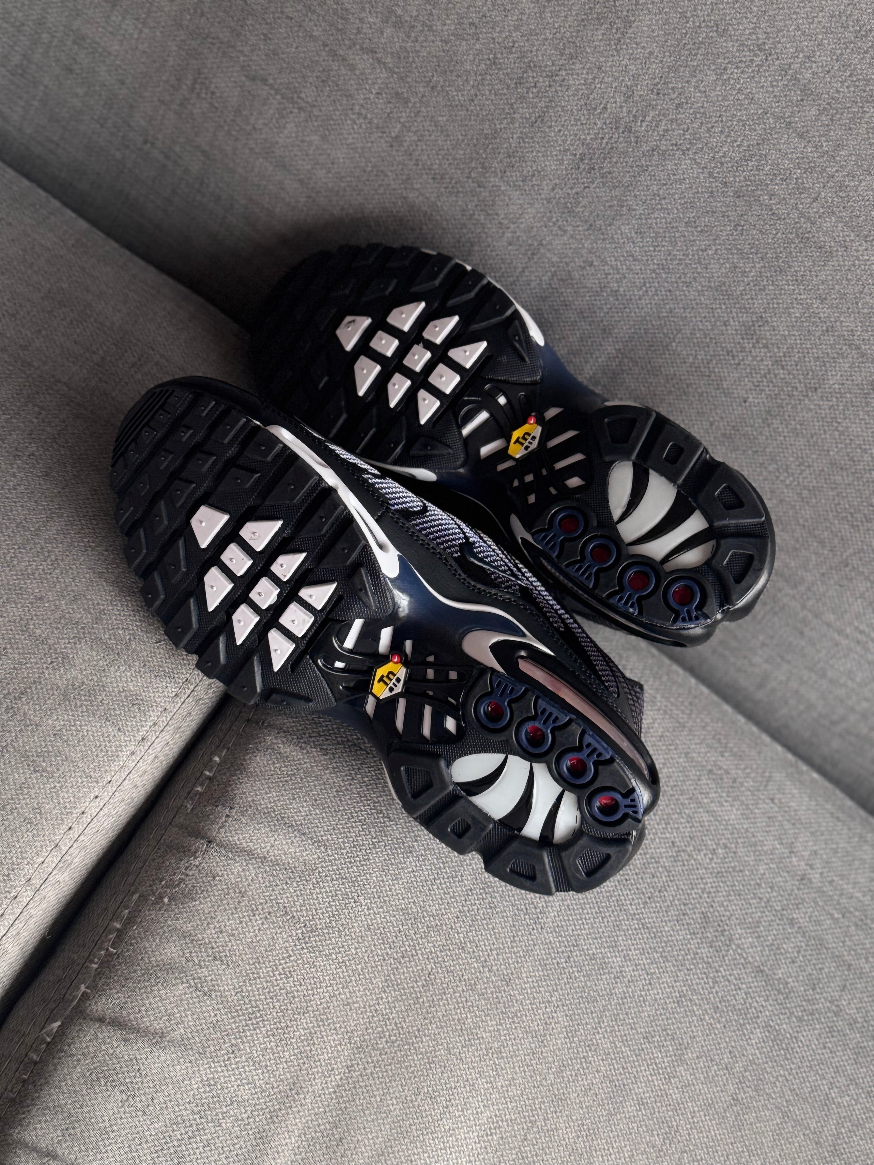 Nike air Max tn