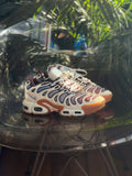 Nike air Max tn Drift café