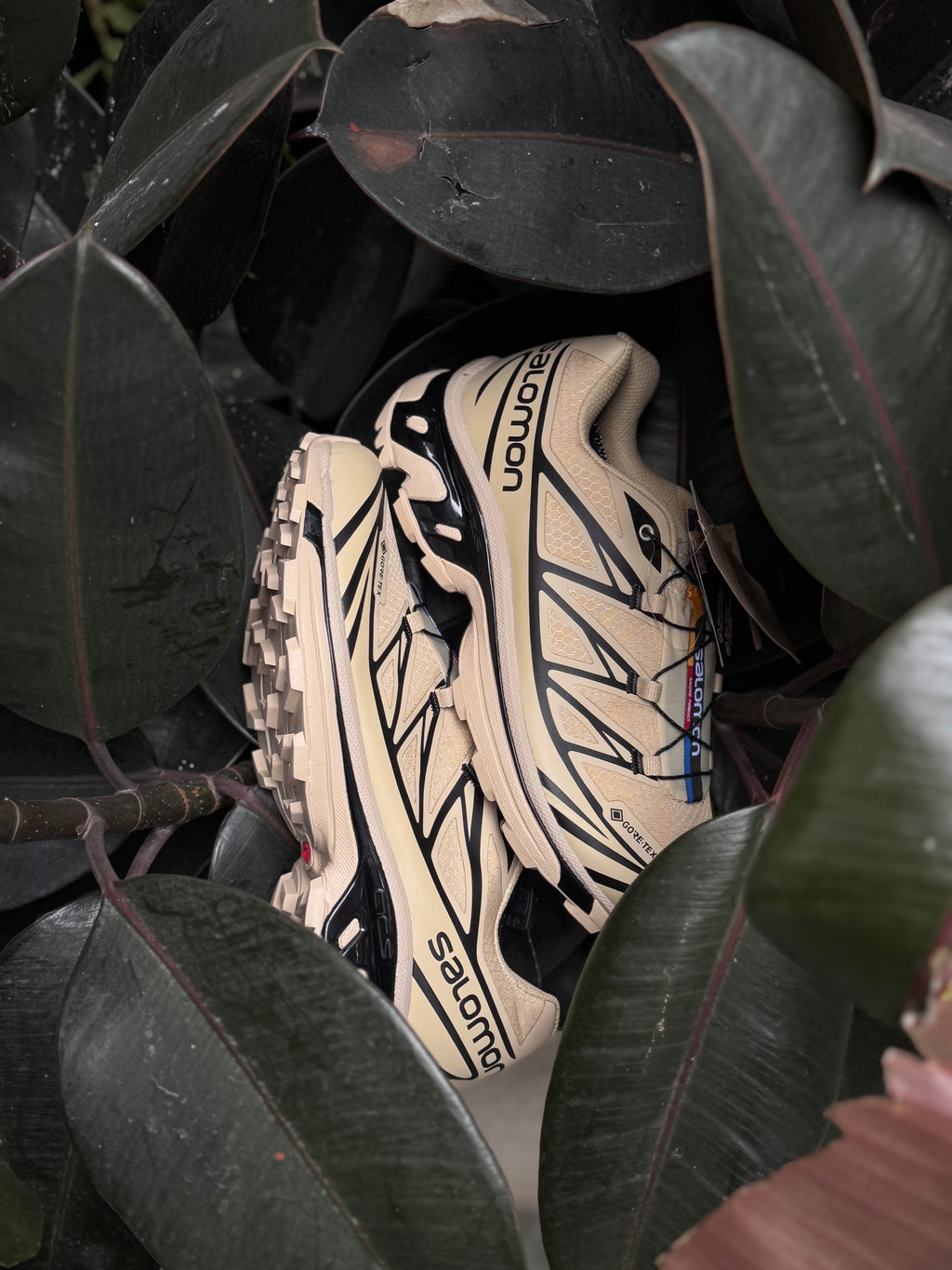 Salomón xt6 goretex “safari black”