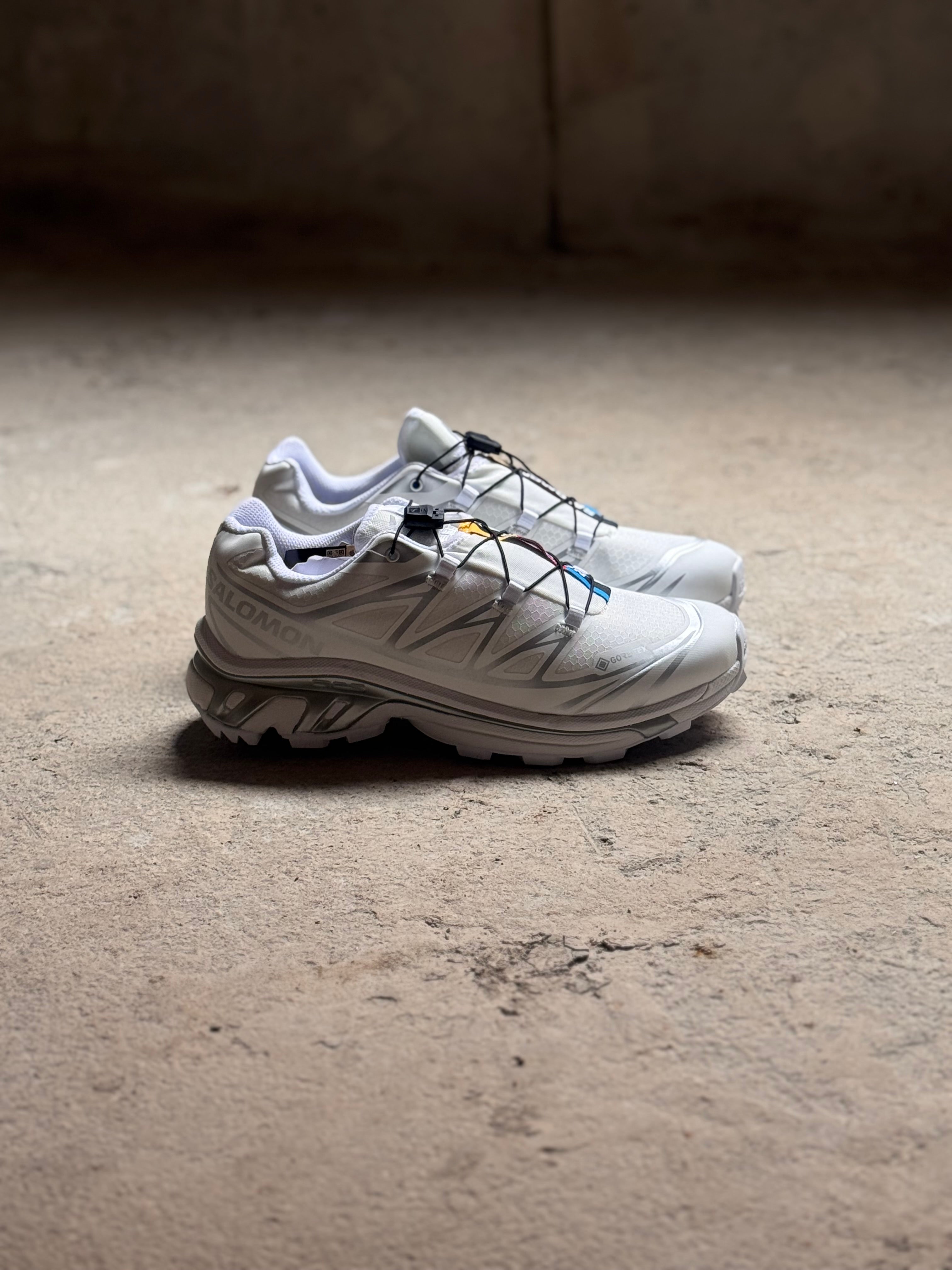 Salomón xt6 goretex “white-silver”