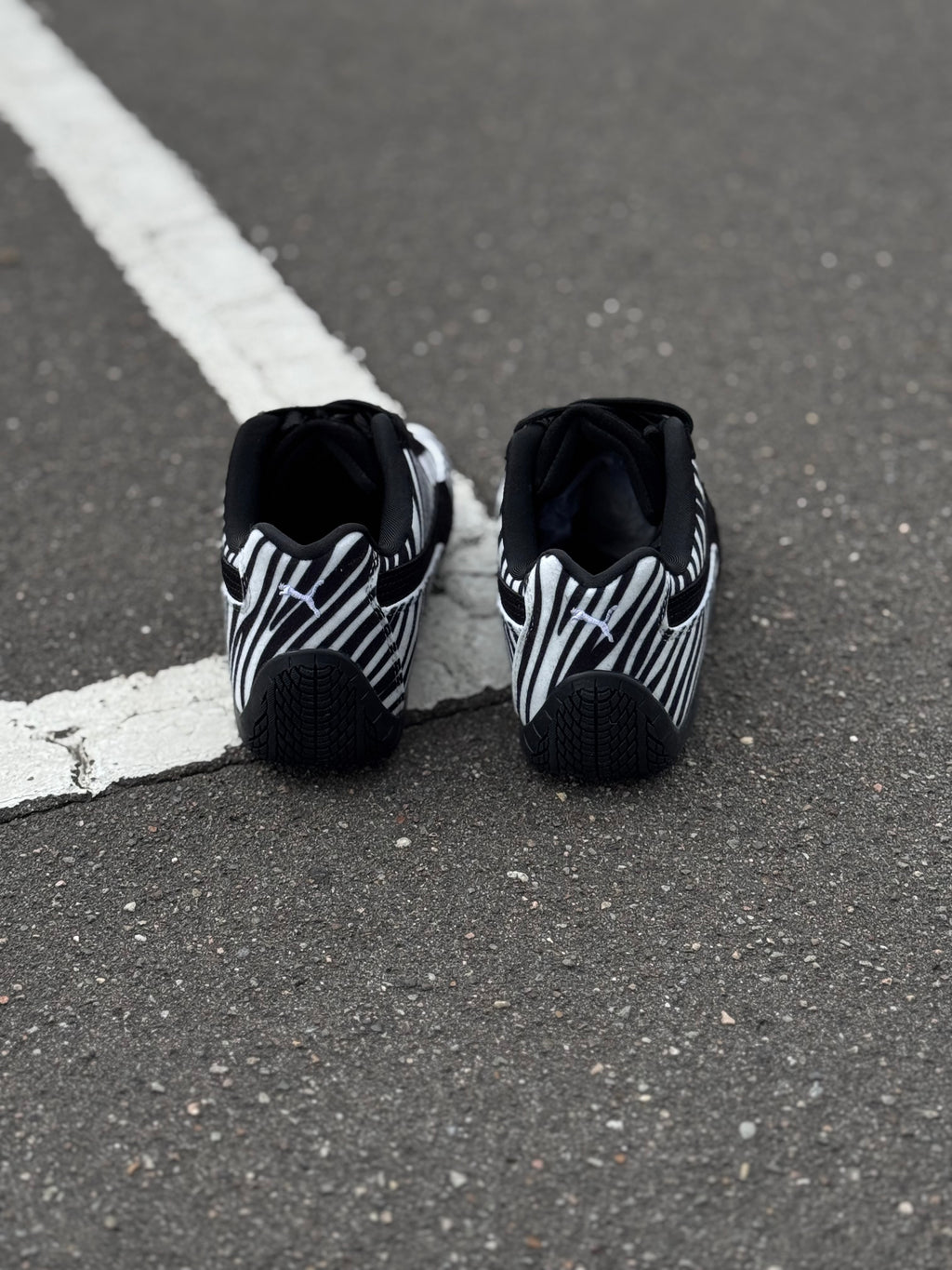 Puma speedcat “zebra”