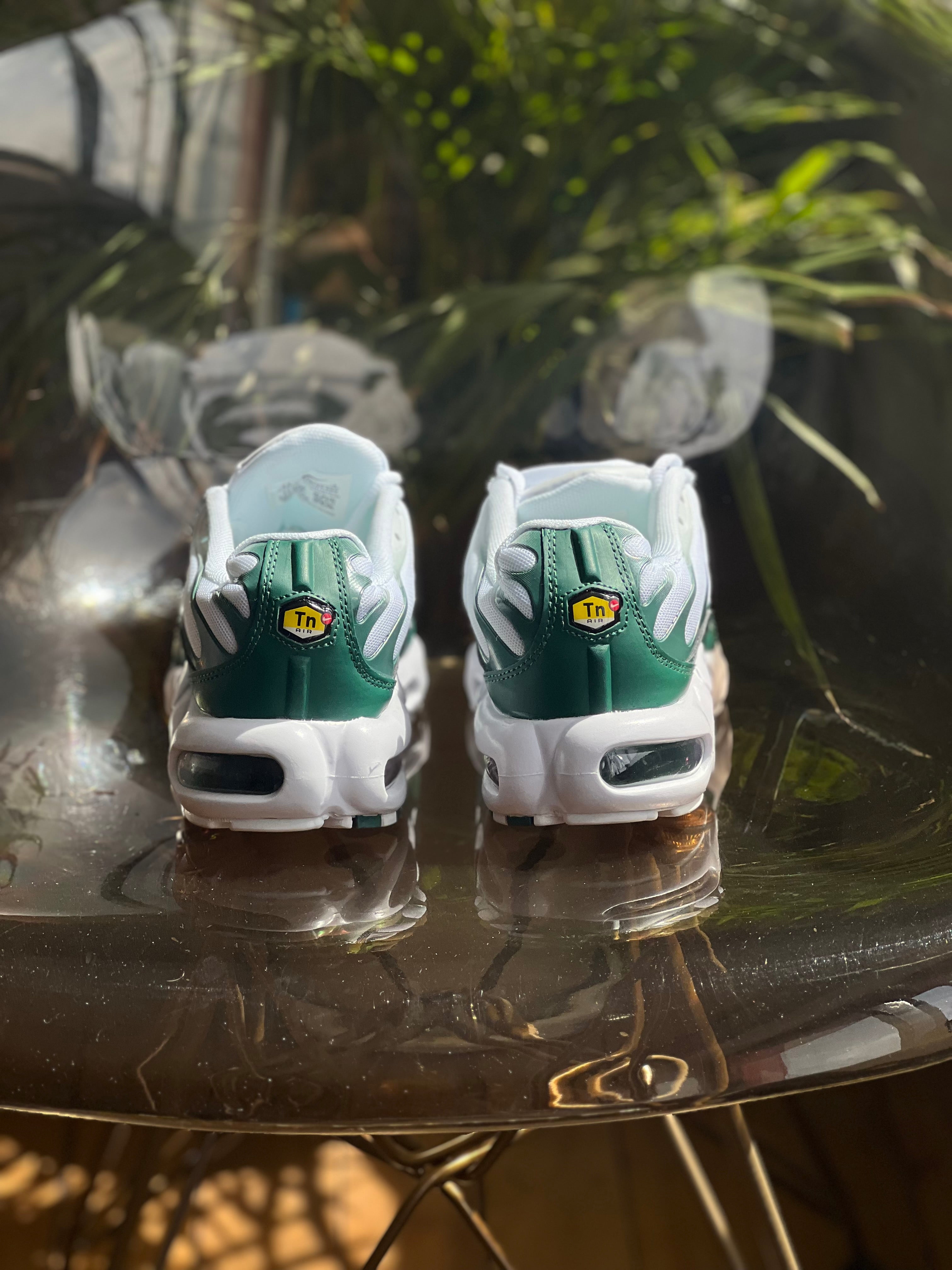 Nike air Max tn x lacoste