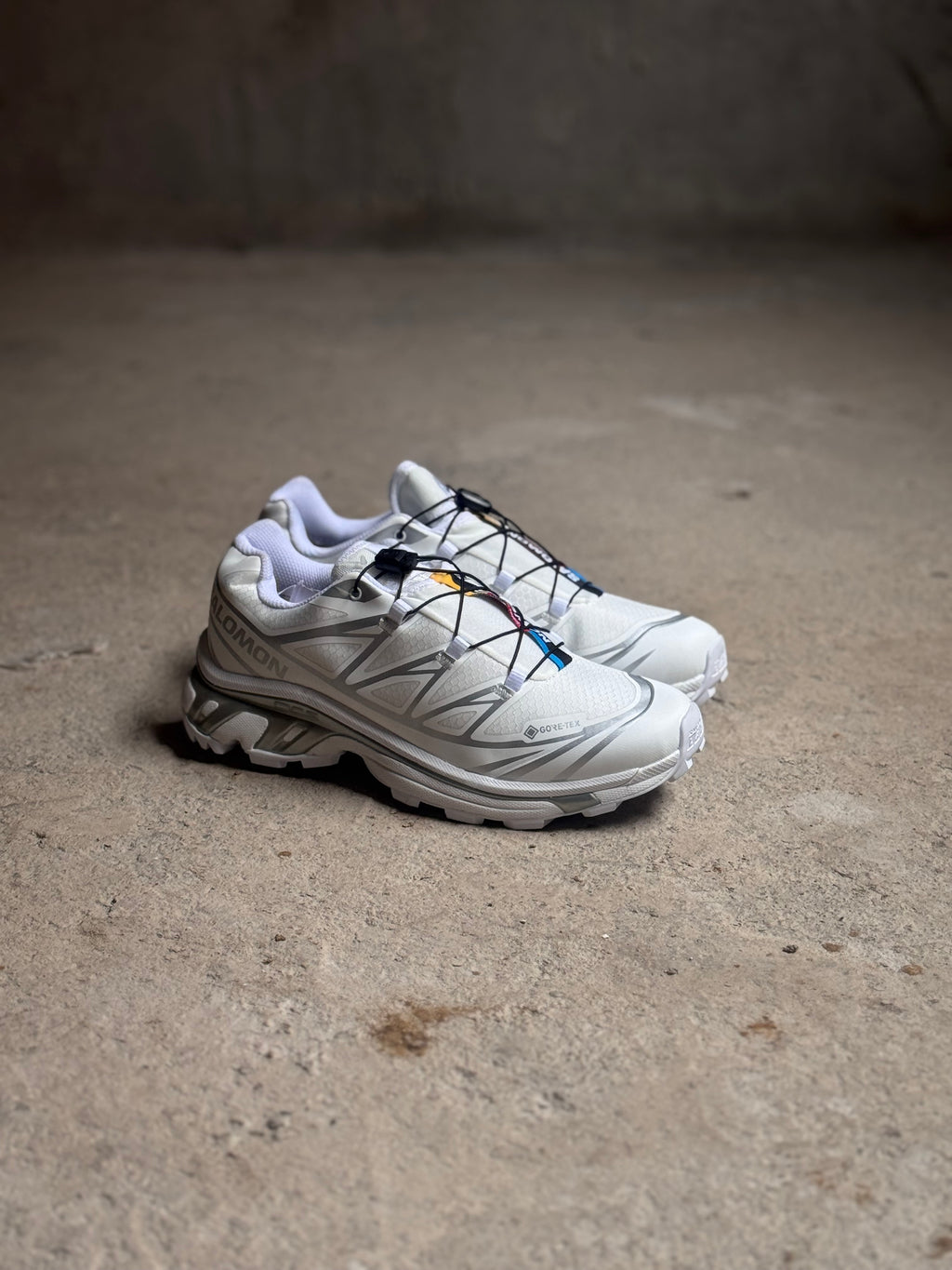 Salomón xt6 goretex “white-silver”