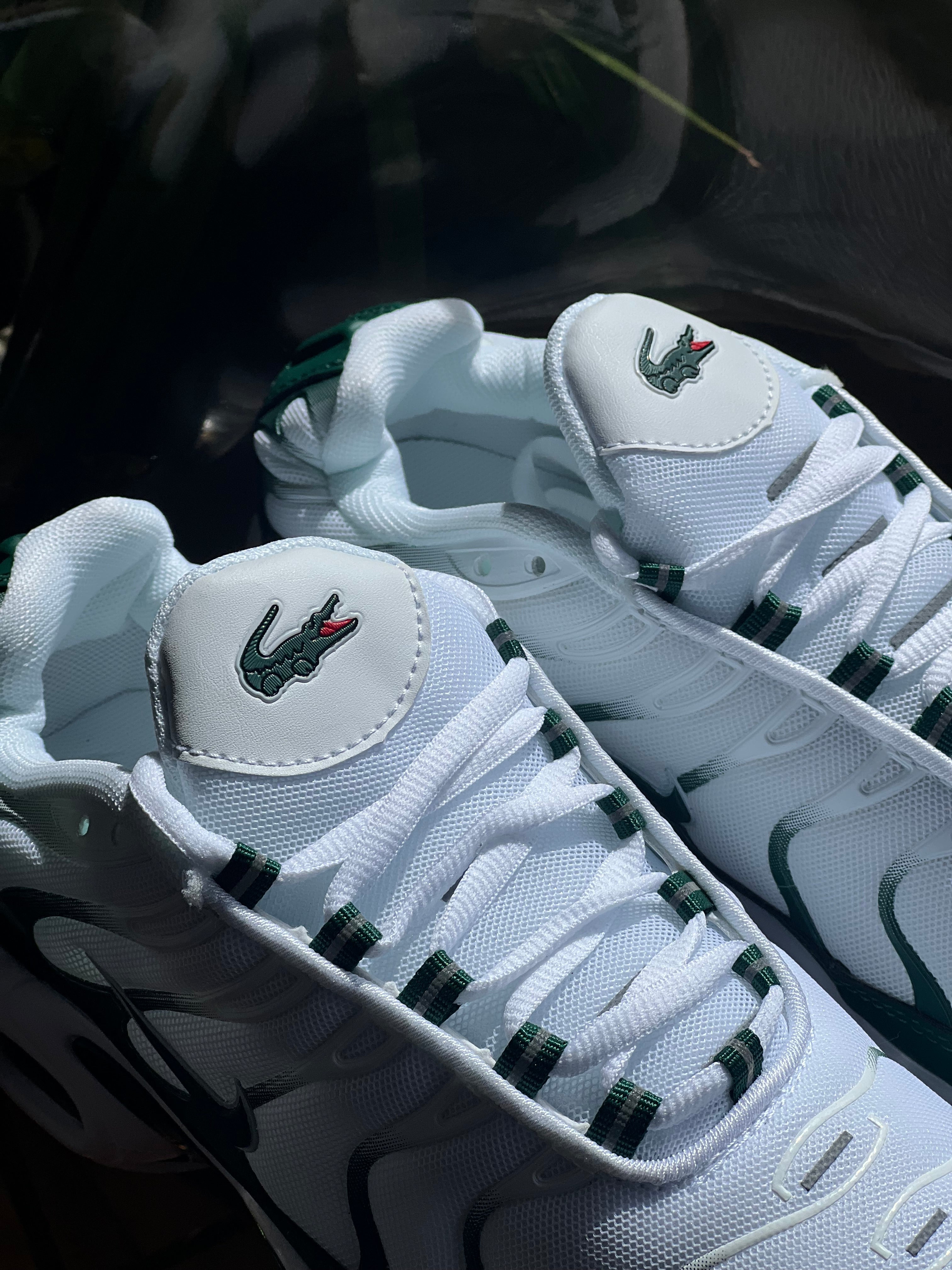 Nike air Max tn x lacoste