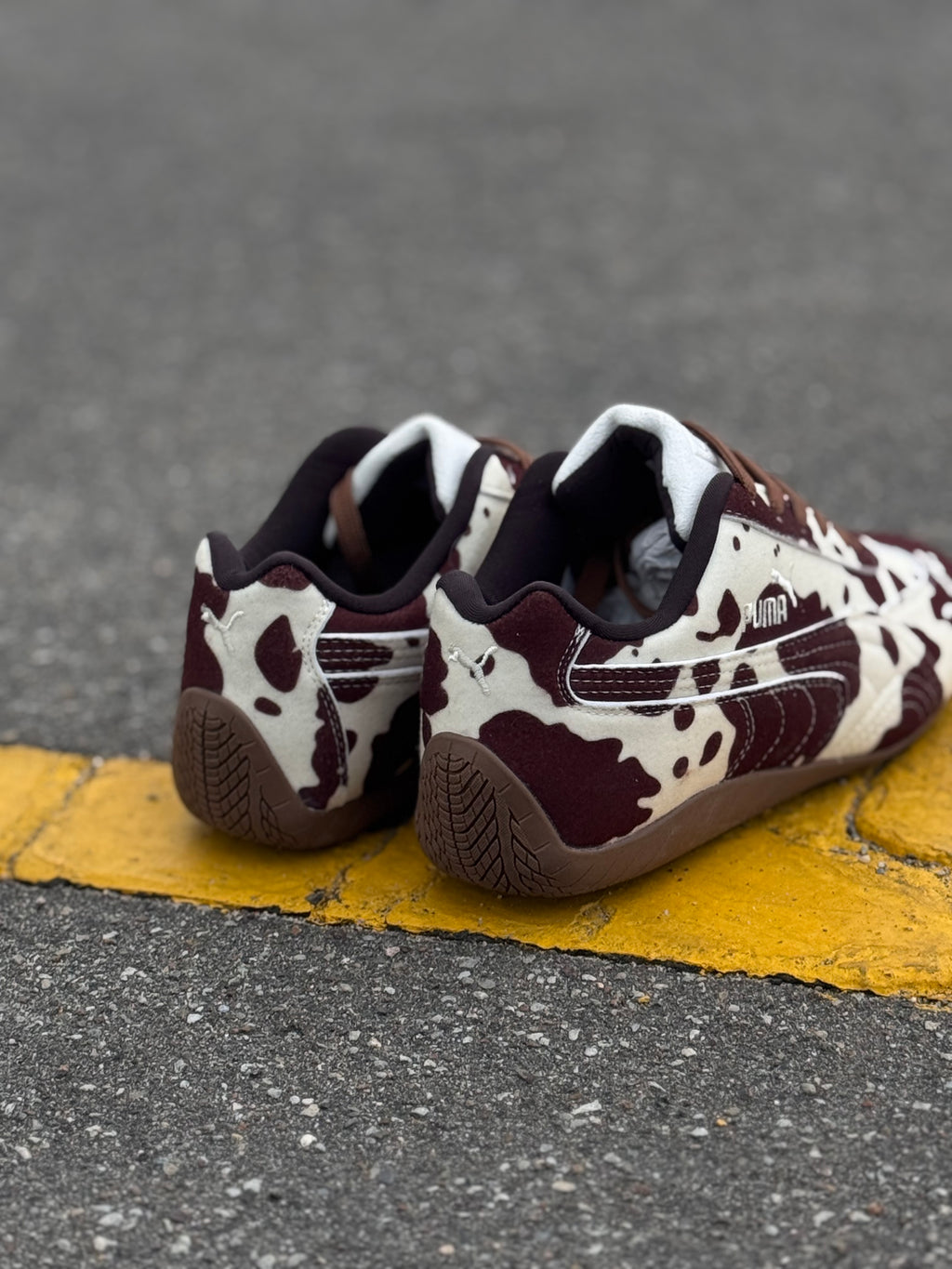 Puma speedcat “cow”
