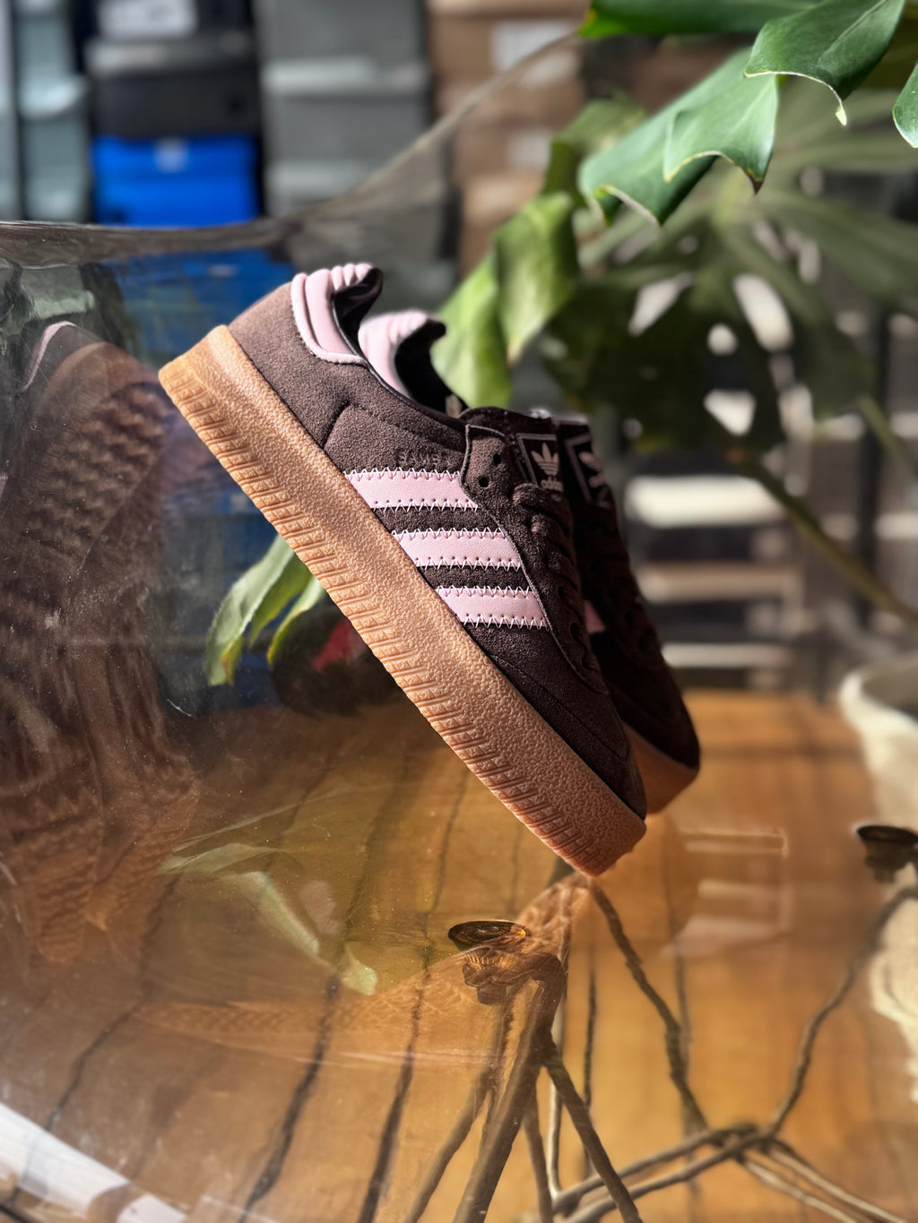 Adidas sambae “dark coffe malva”