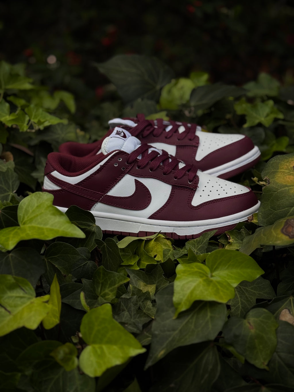 Nike sb “burgundy”
