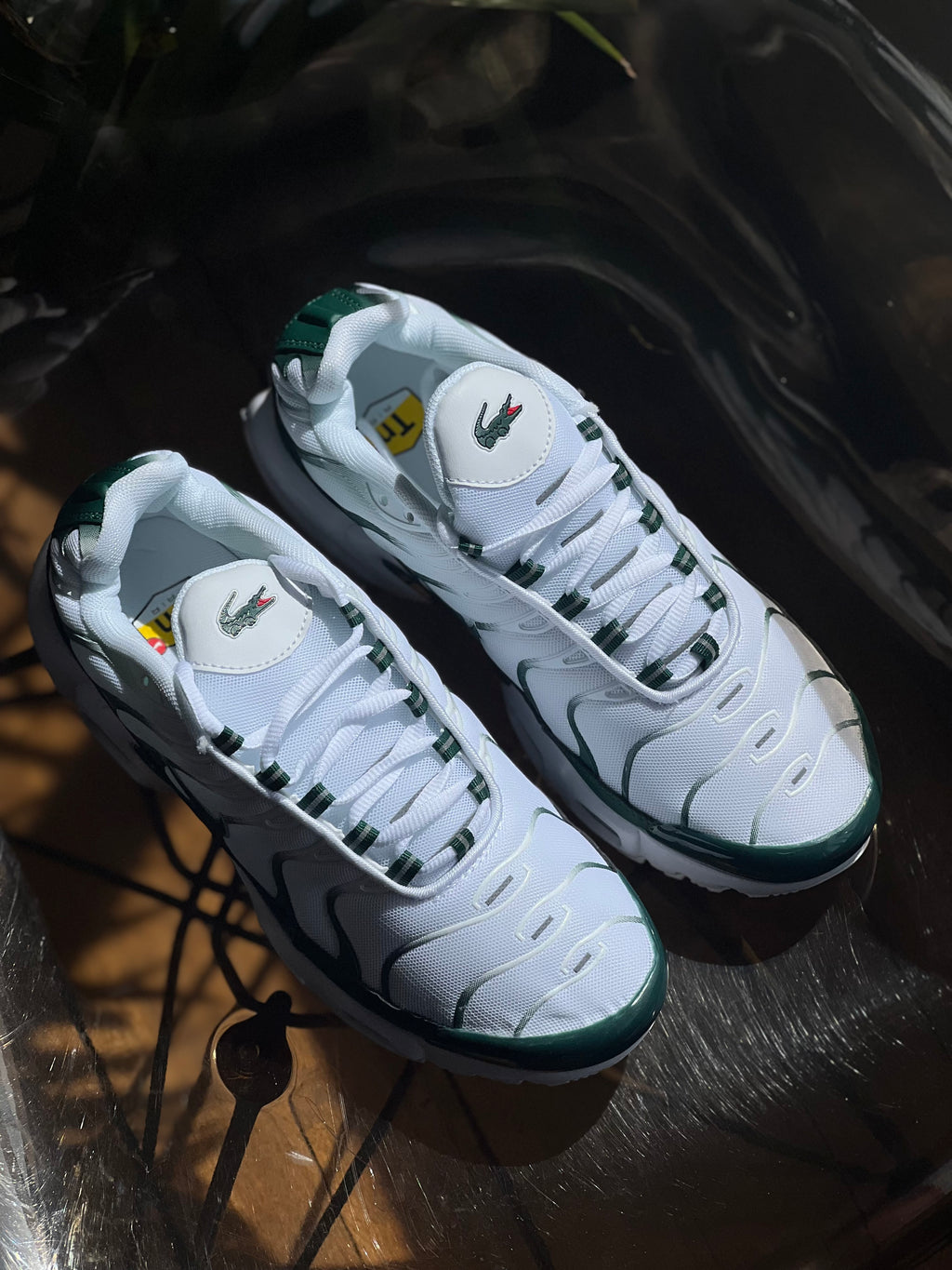 Nike air Max tn x lacoste