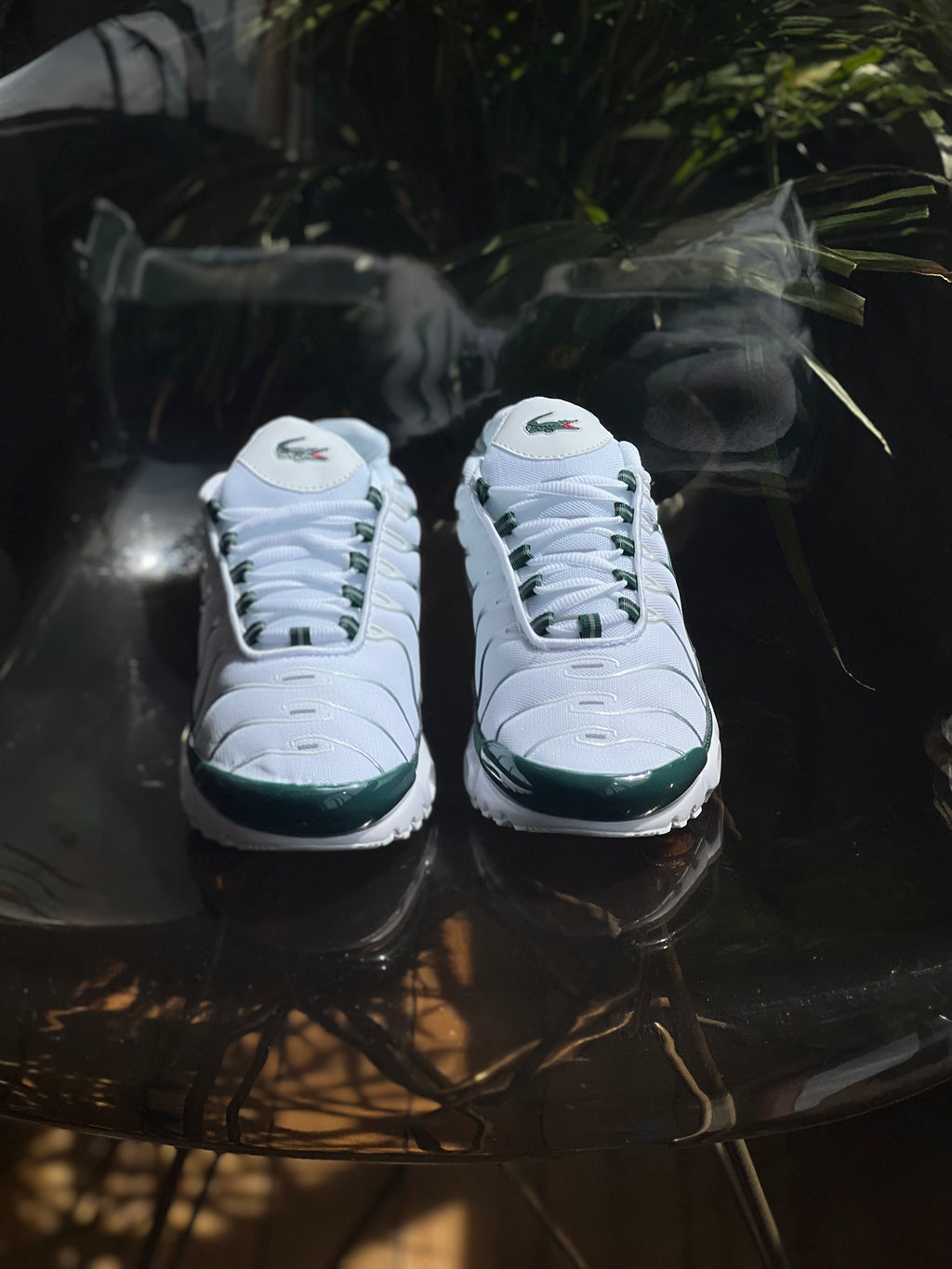 Nike air Max tn x lacoste