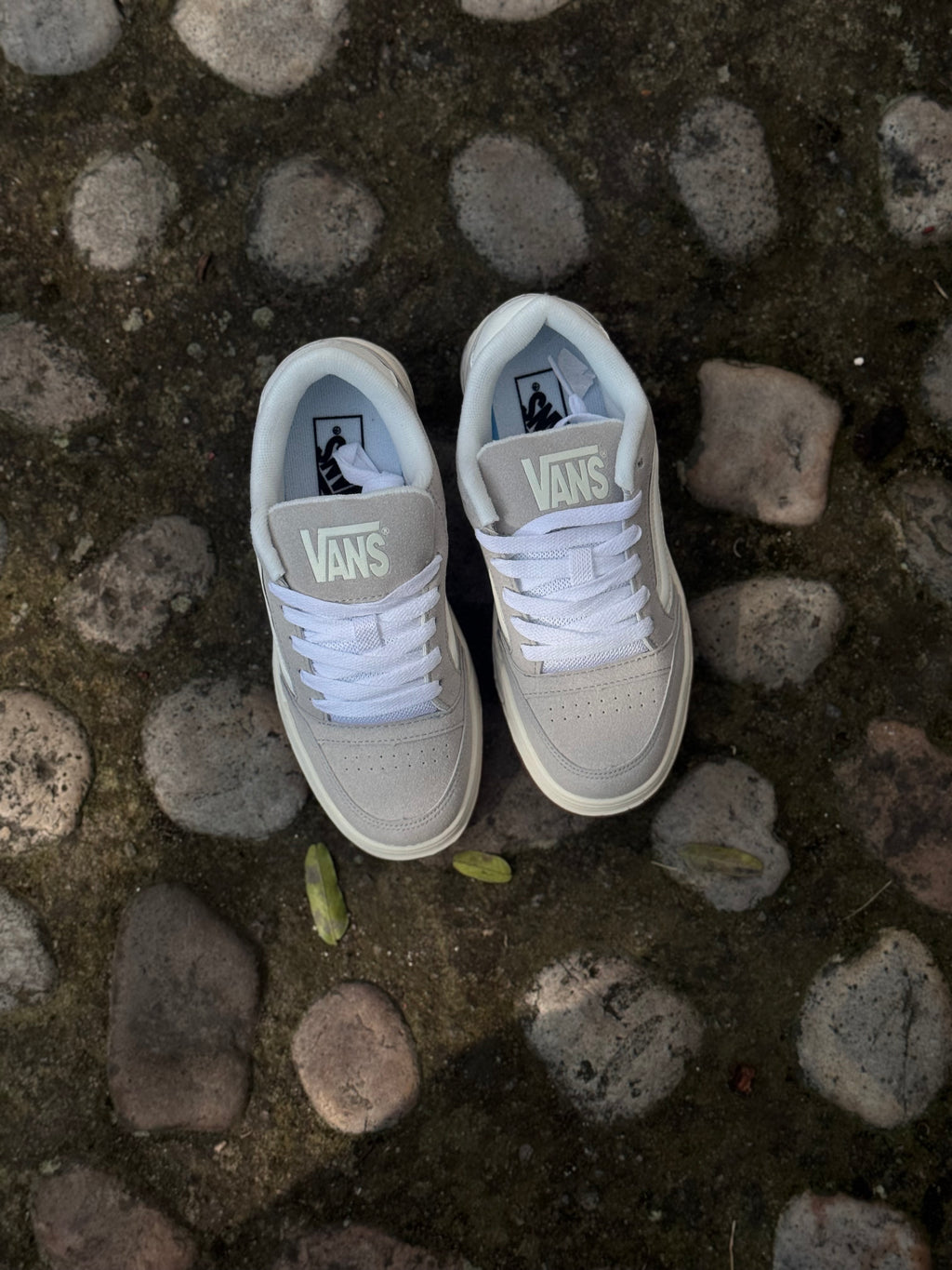 Vans hylane gris suela goma