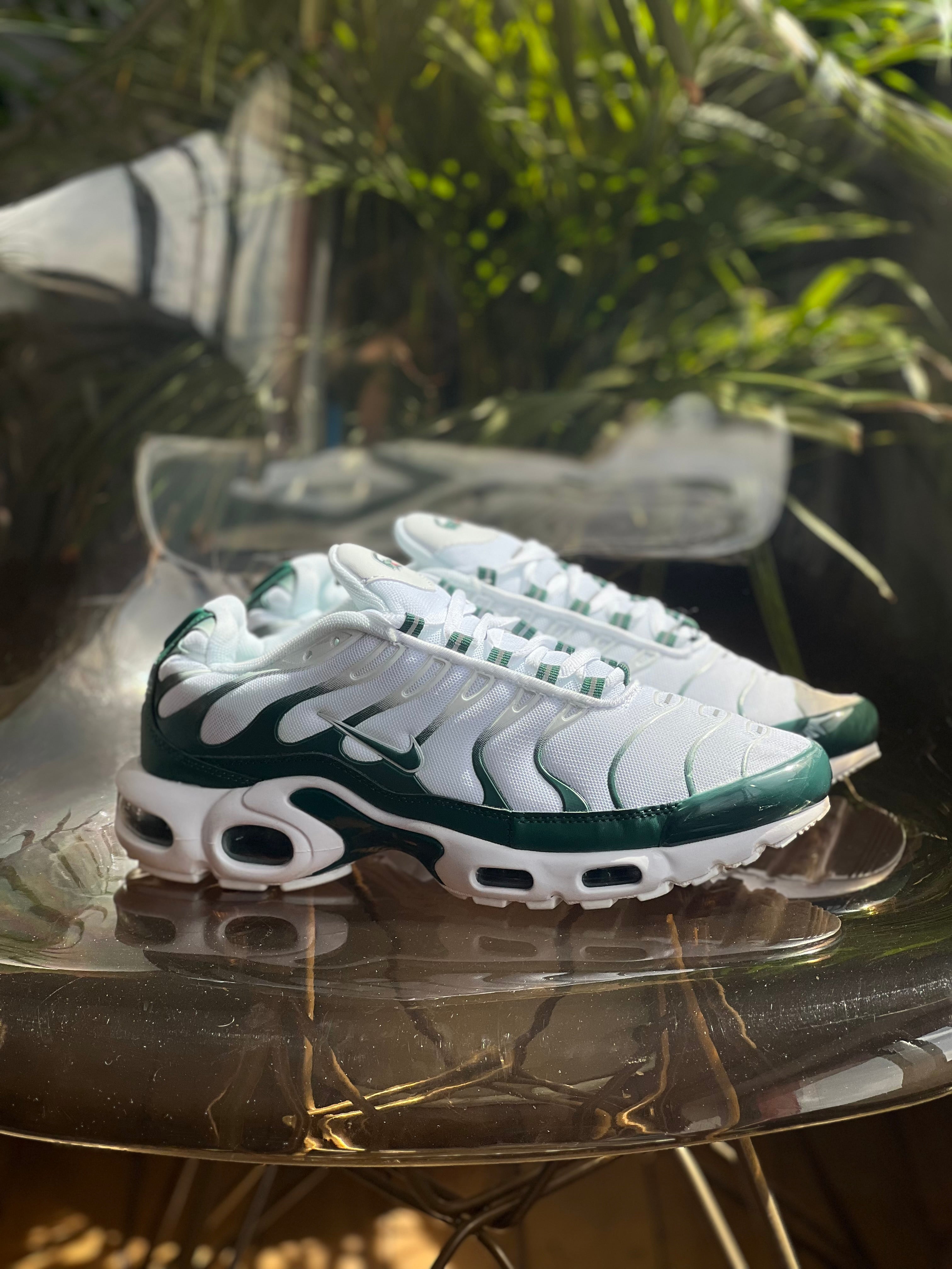 Nike air Max tn x lacoste