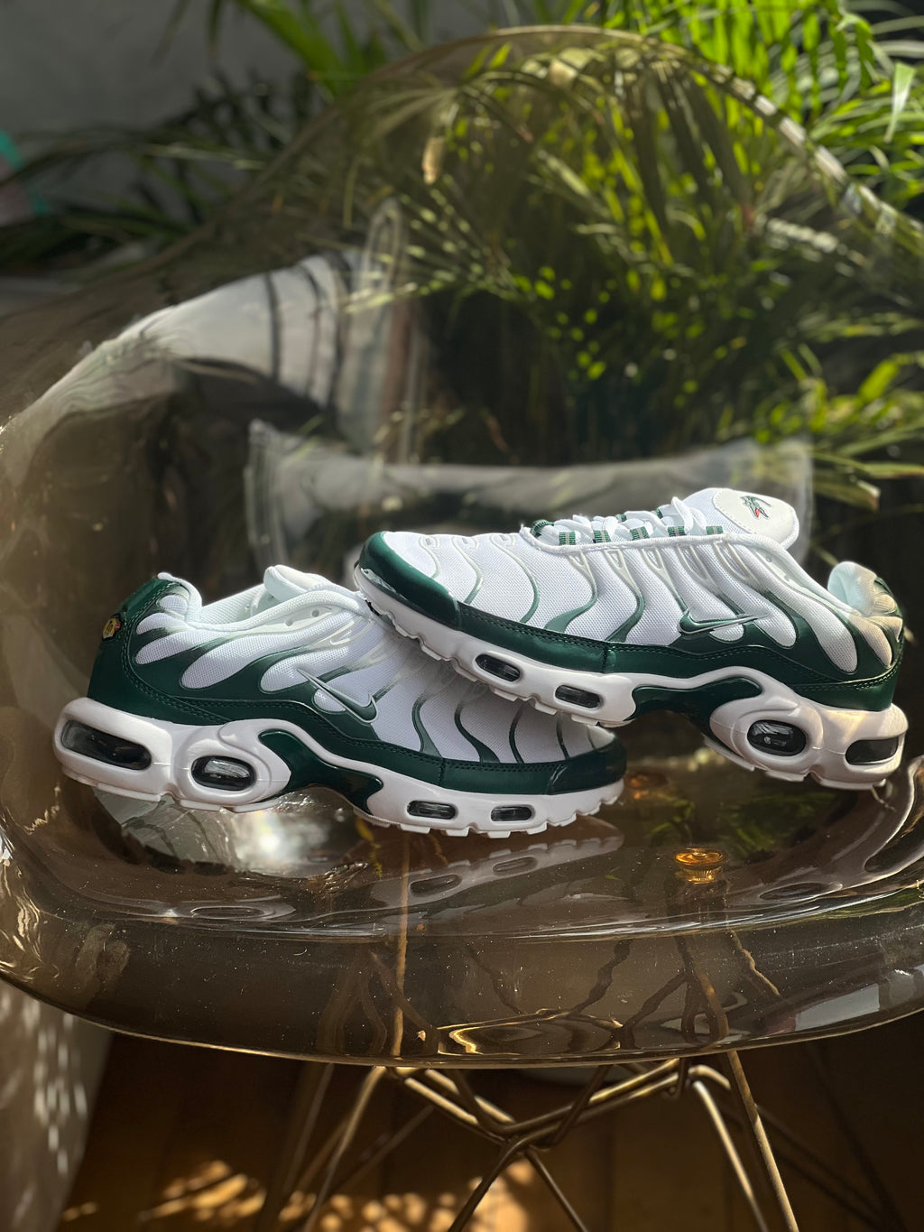 Nike air Max tn x lacoste
