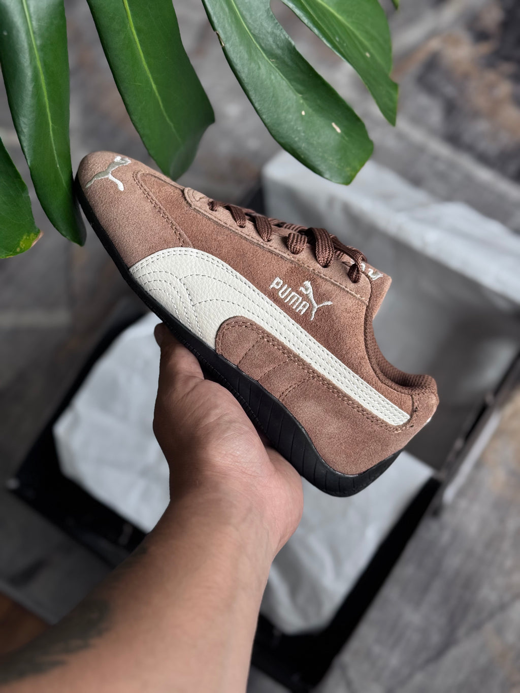 Puma speedcat “café”