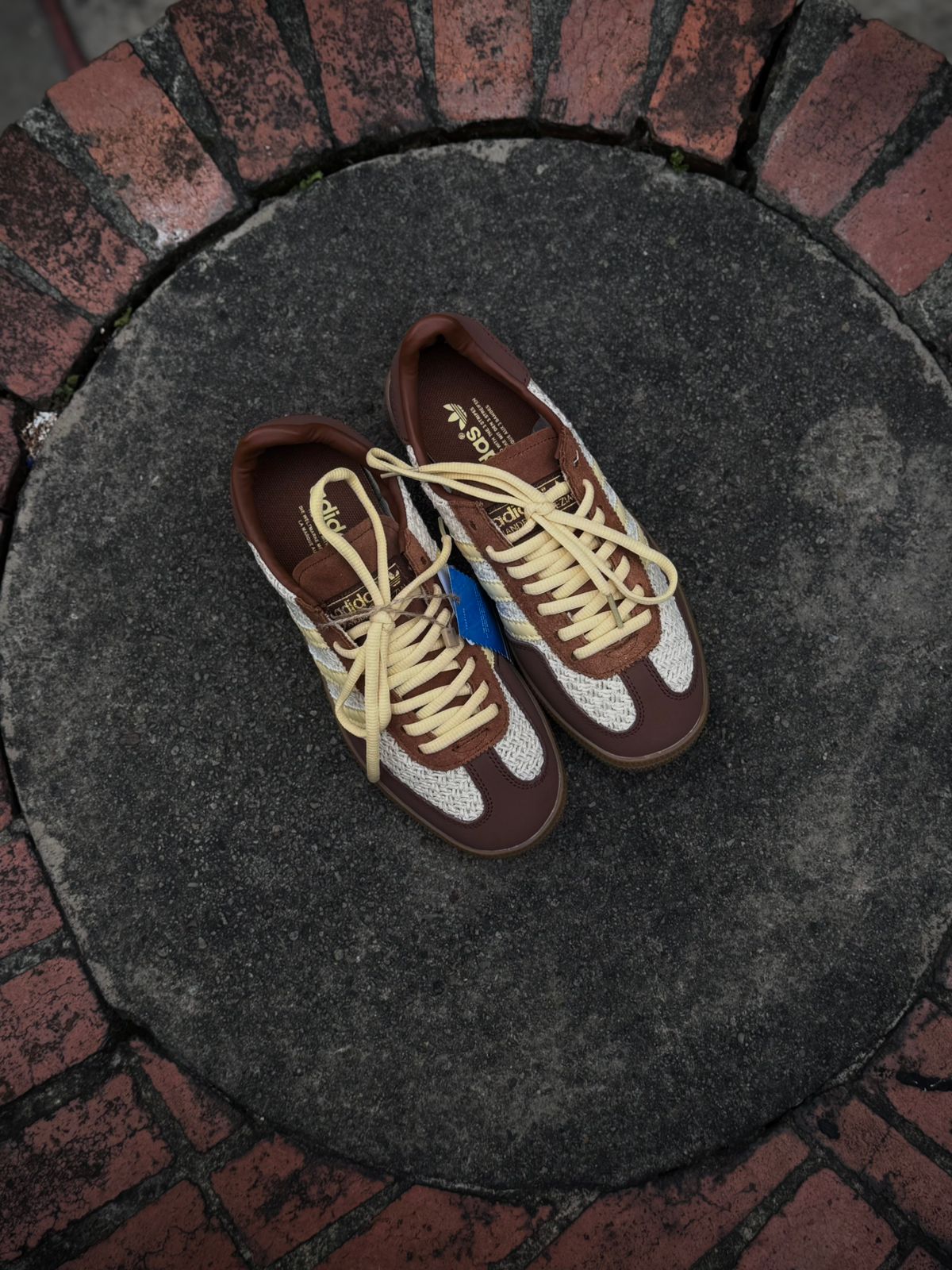 Adidas spezial